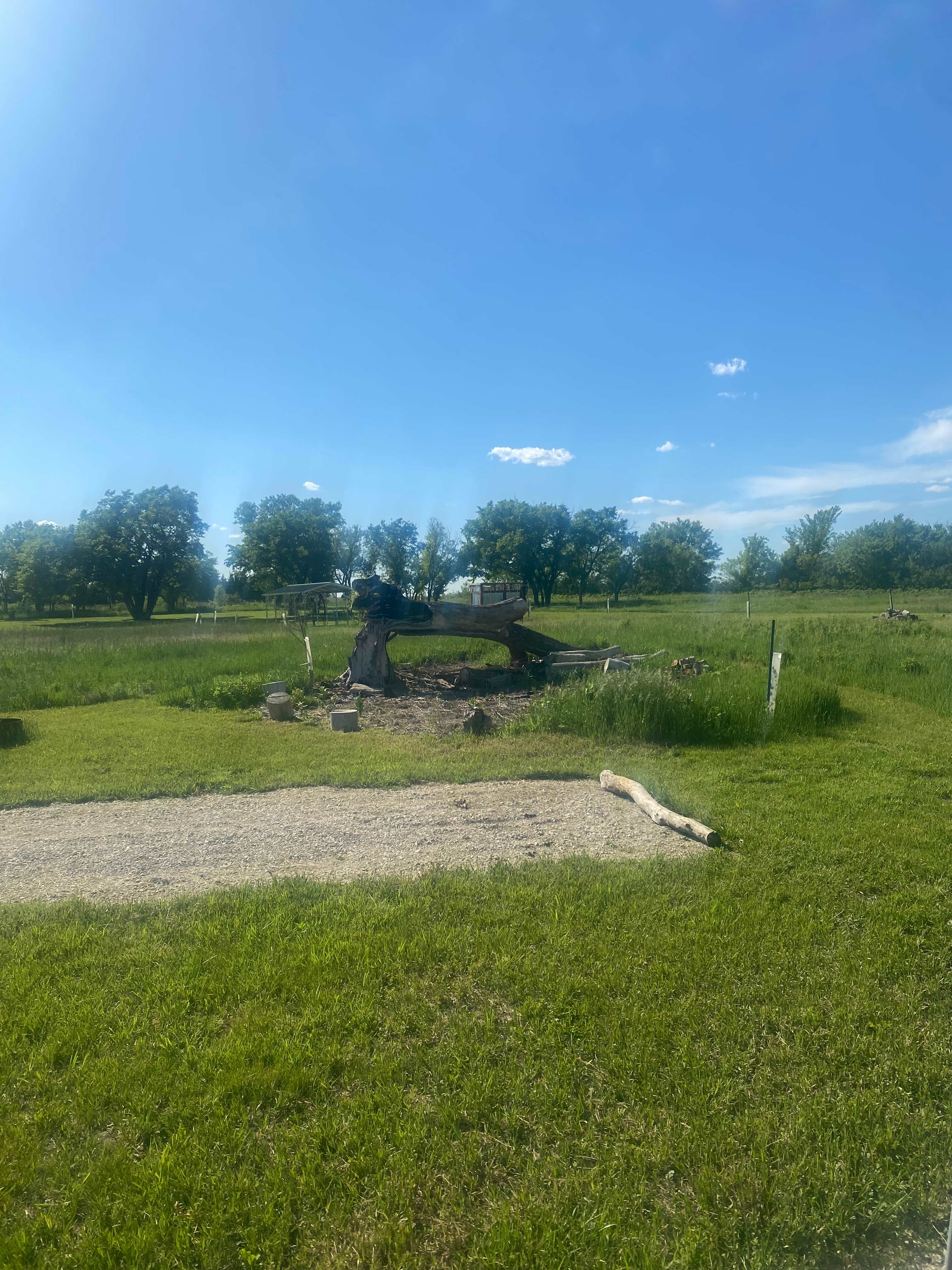 Picture of the site