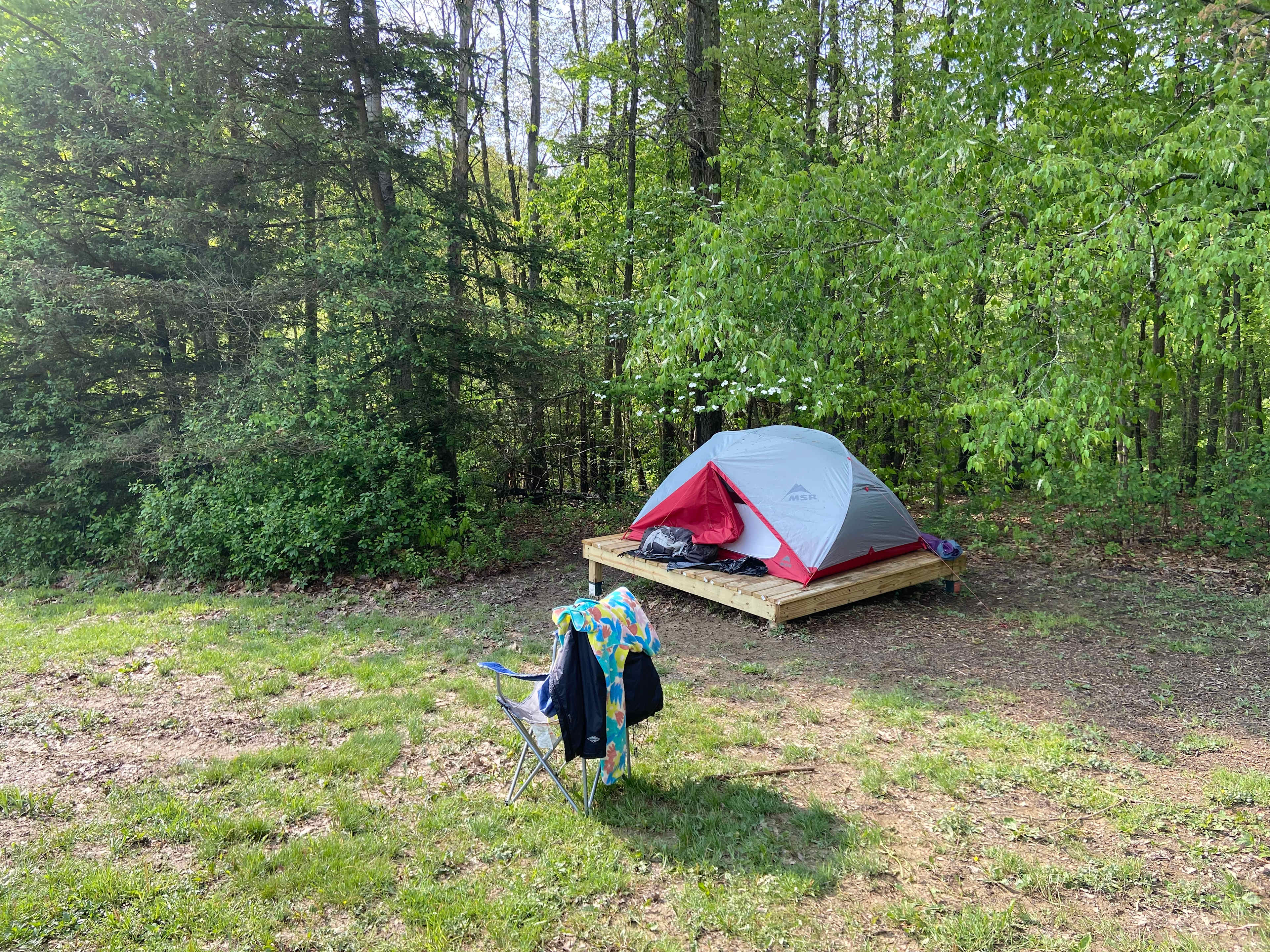 Picture of the site