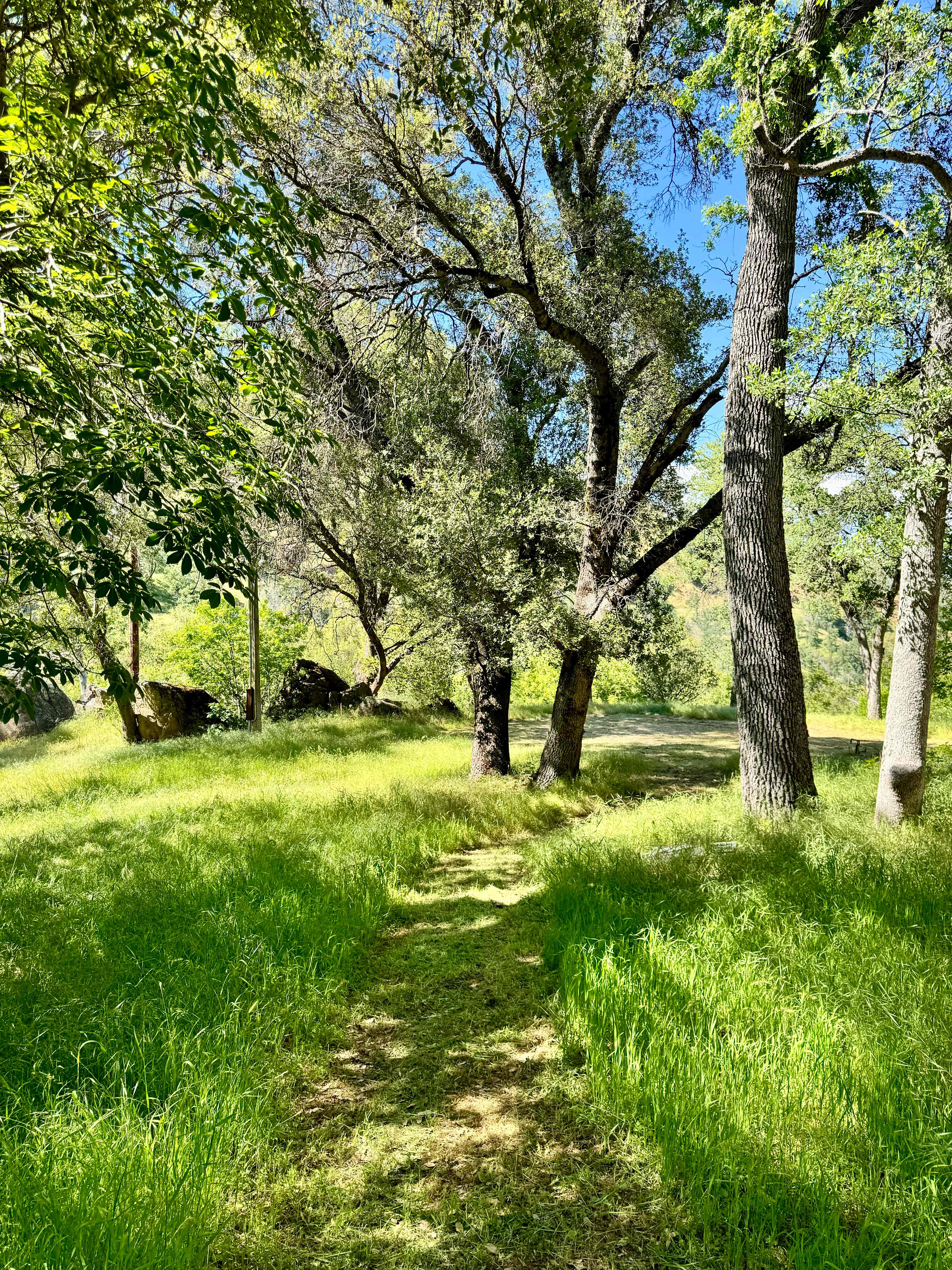 The Ahwahnee Camp