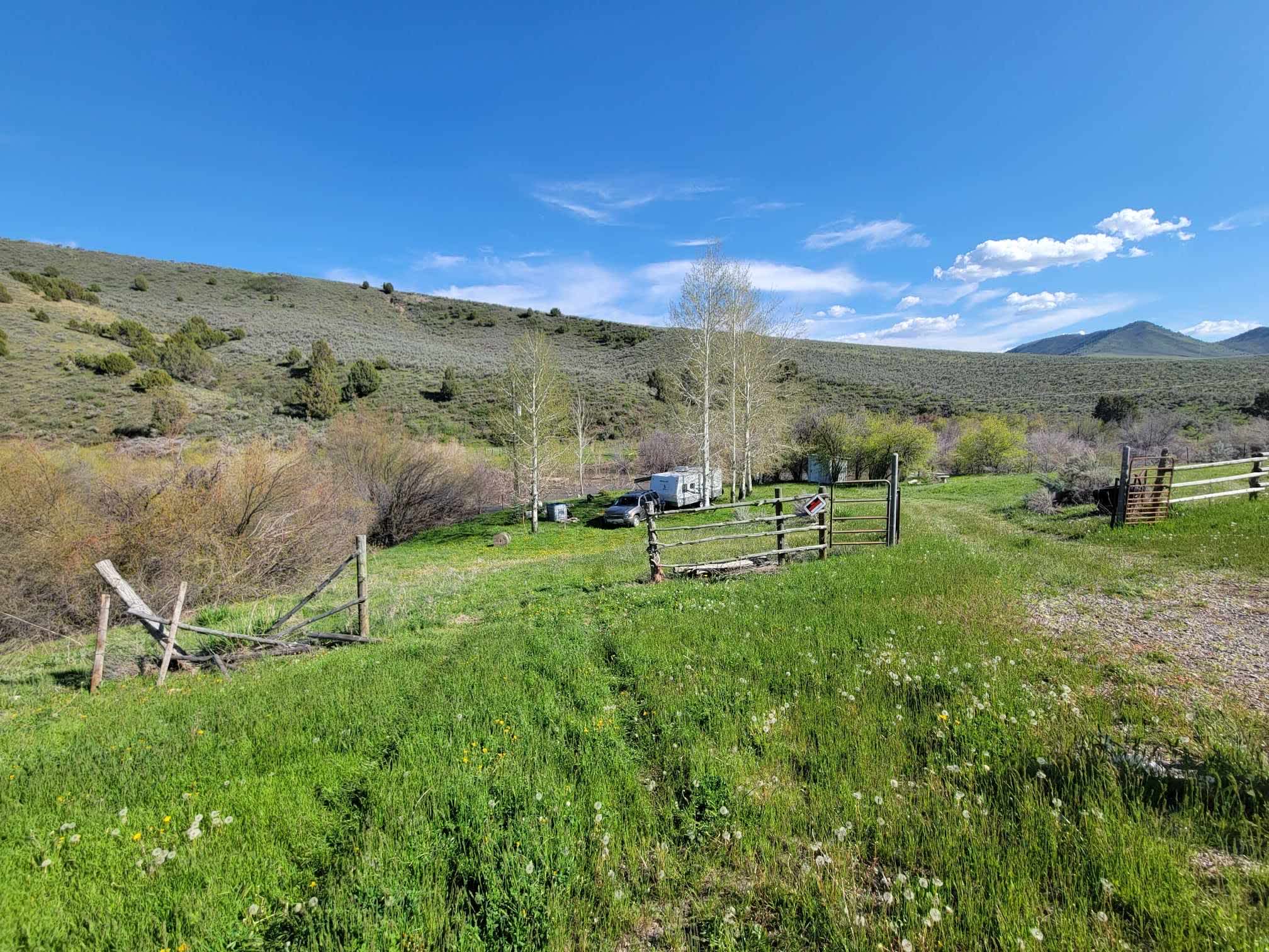 Picture of the site