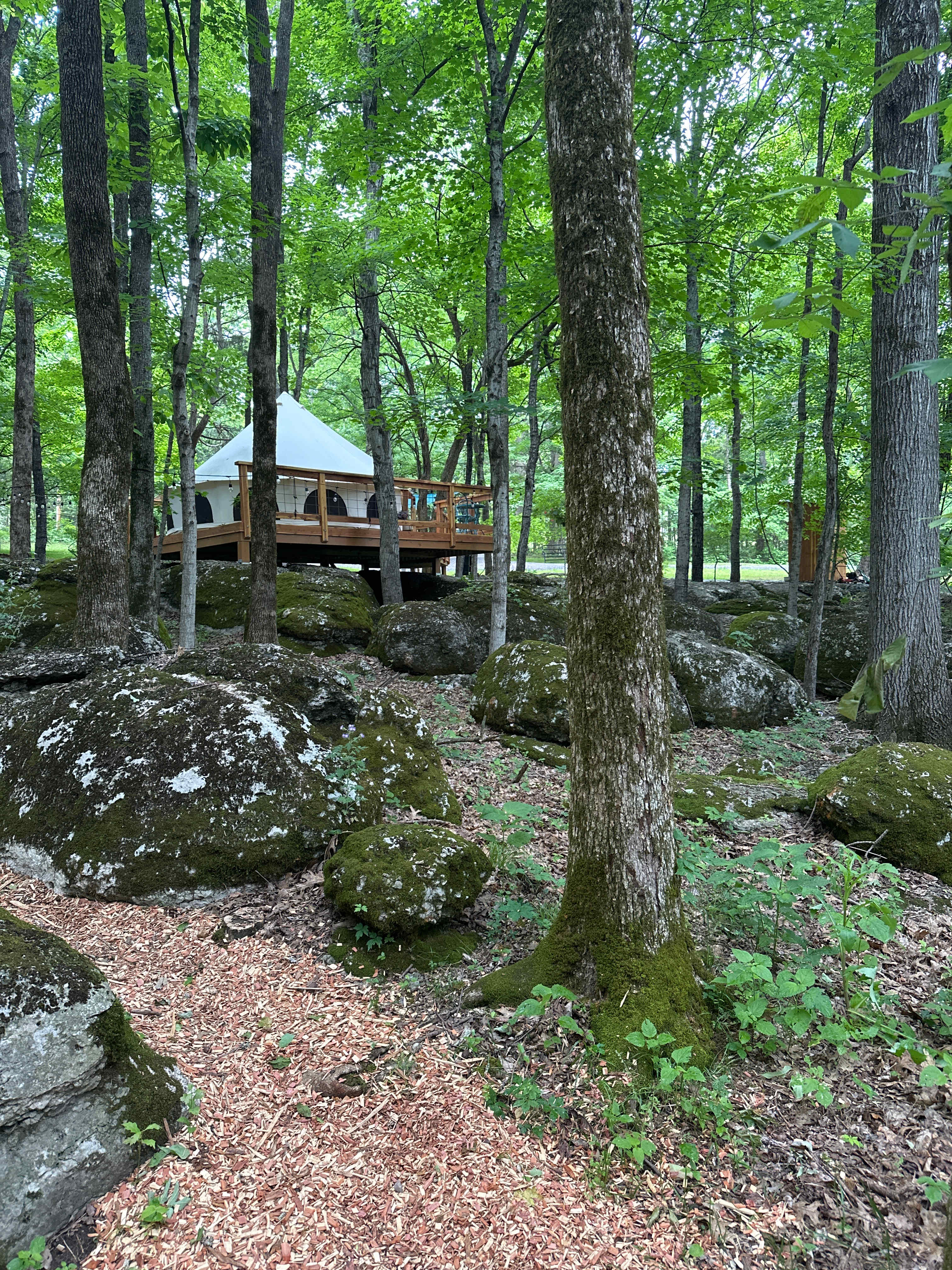 On The Rocks Campsite
