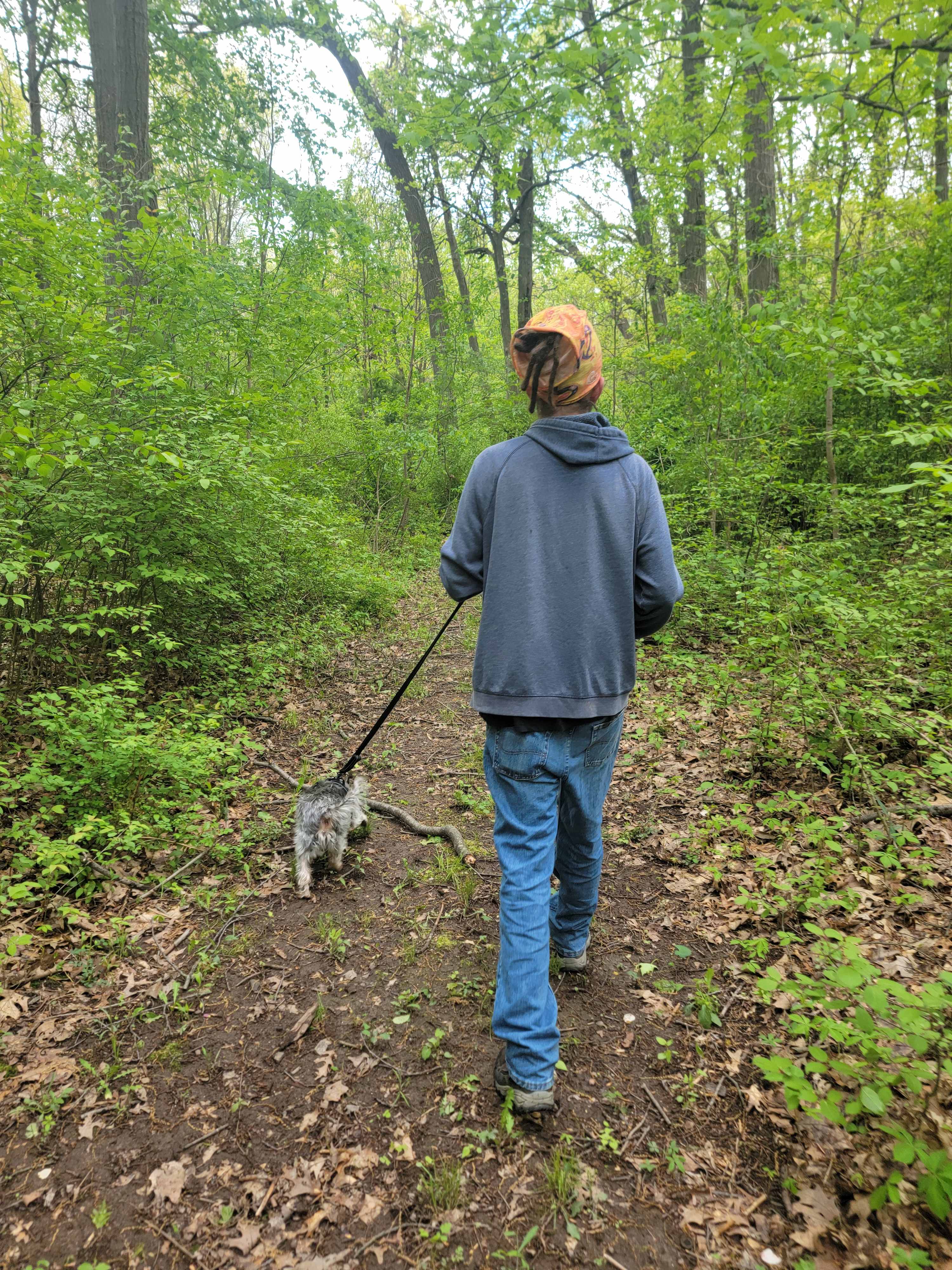 Cleared trails were so nice to walk in. 