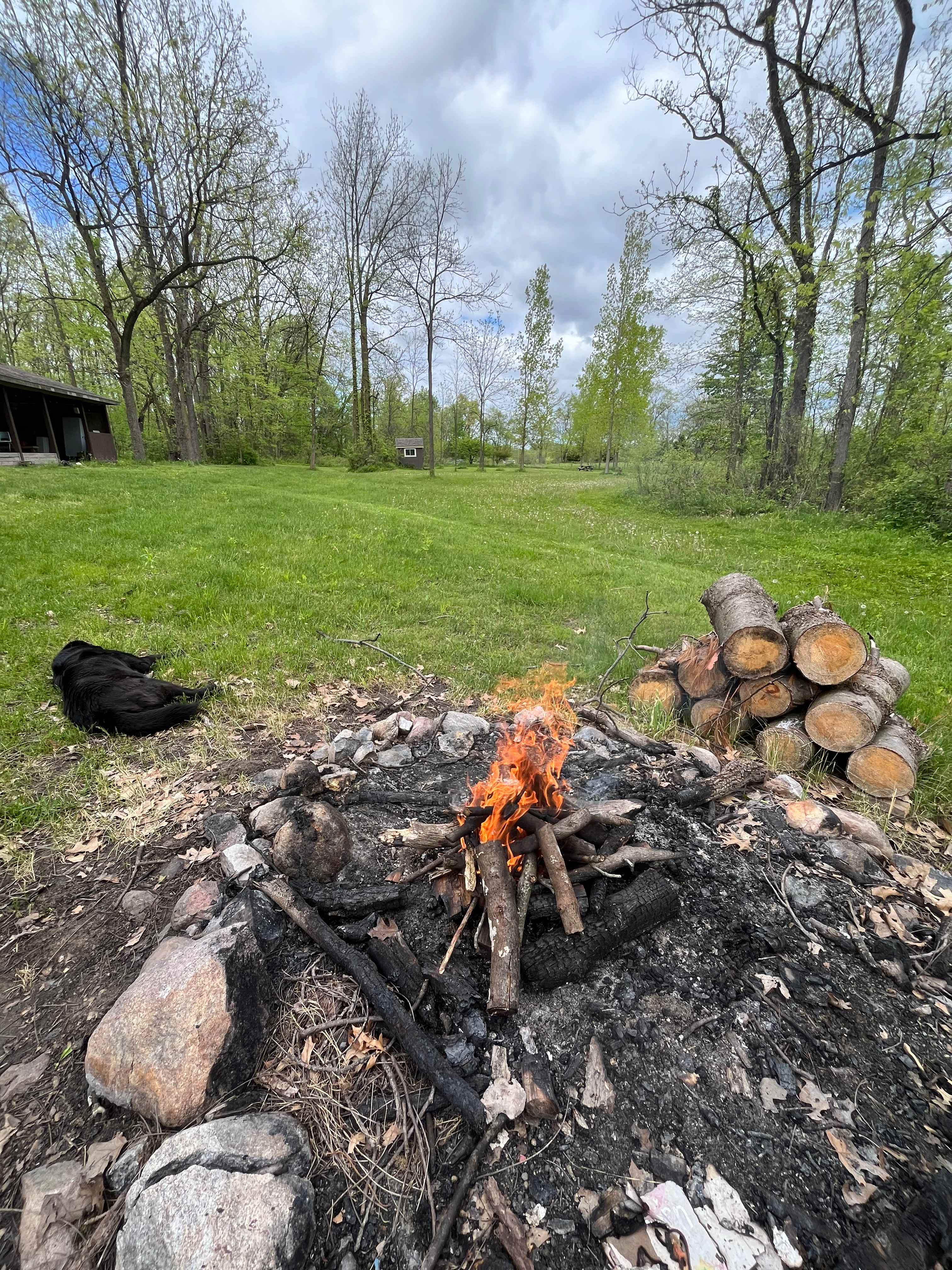 Picture of the site