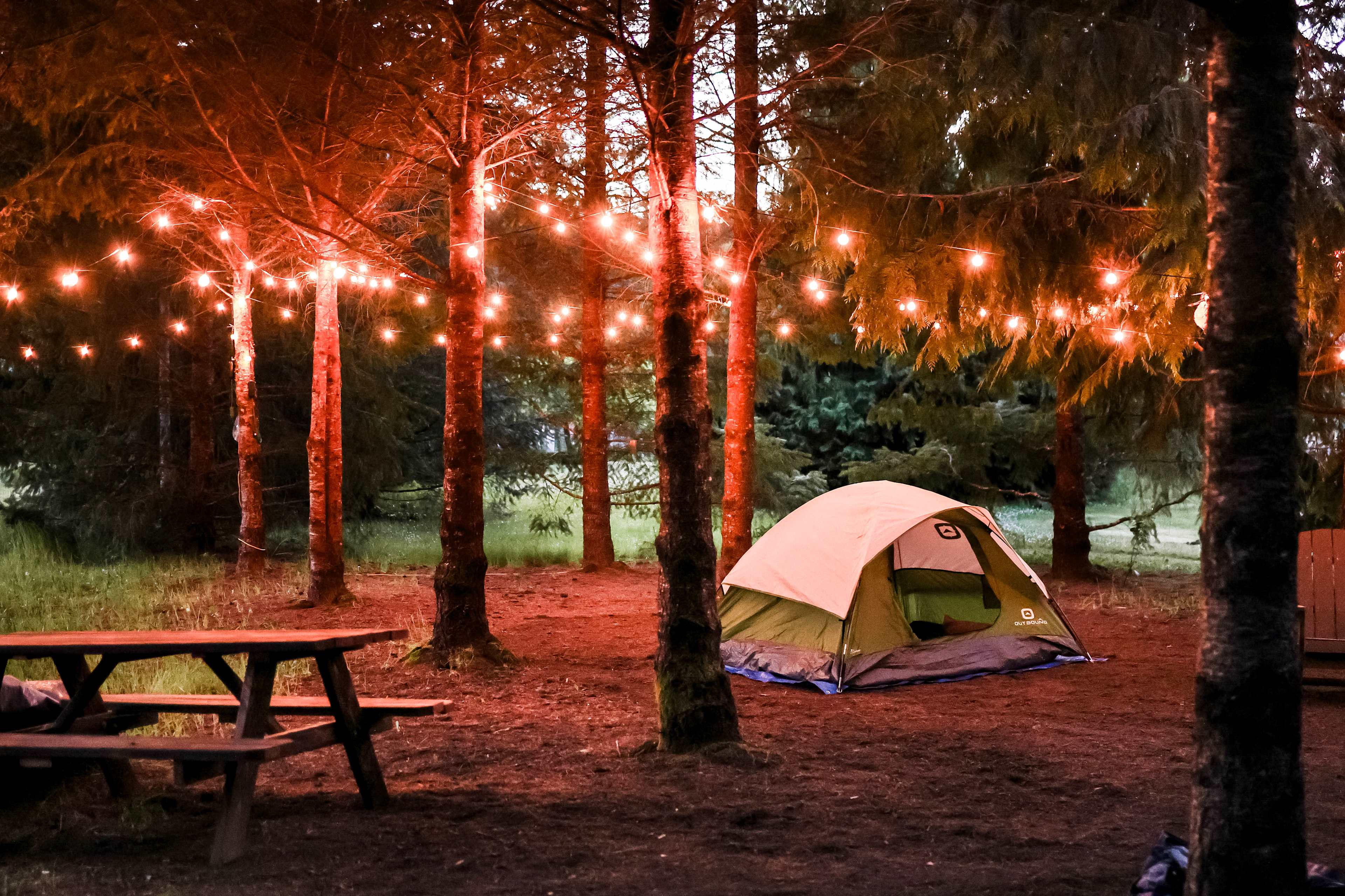 Fernwood Retreat At Bloom Hill
