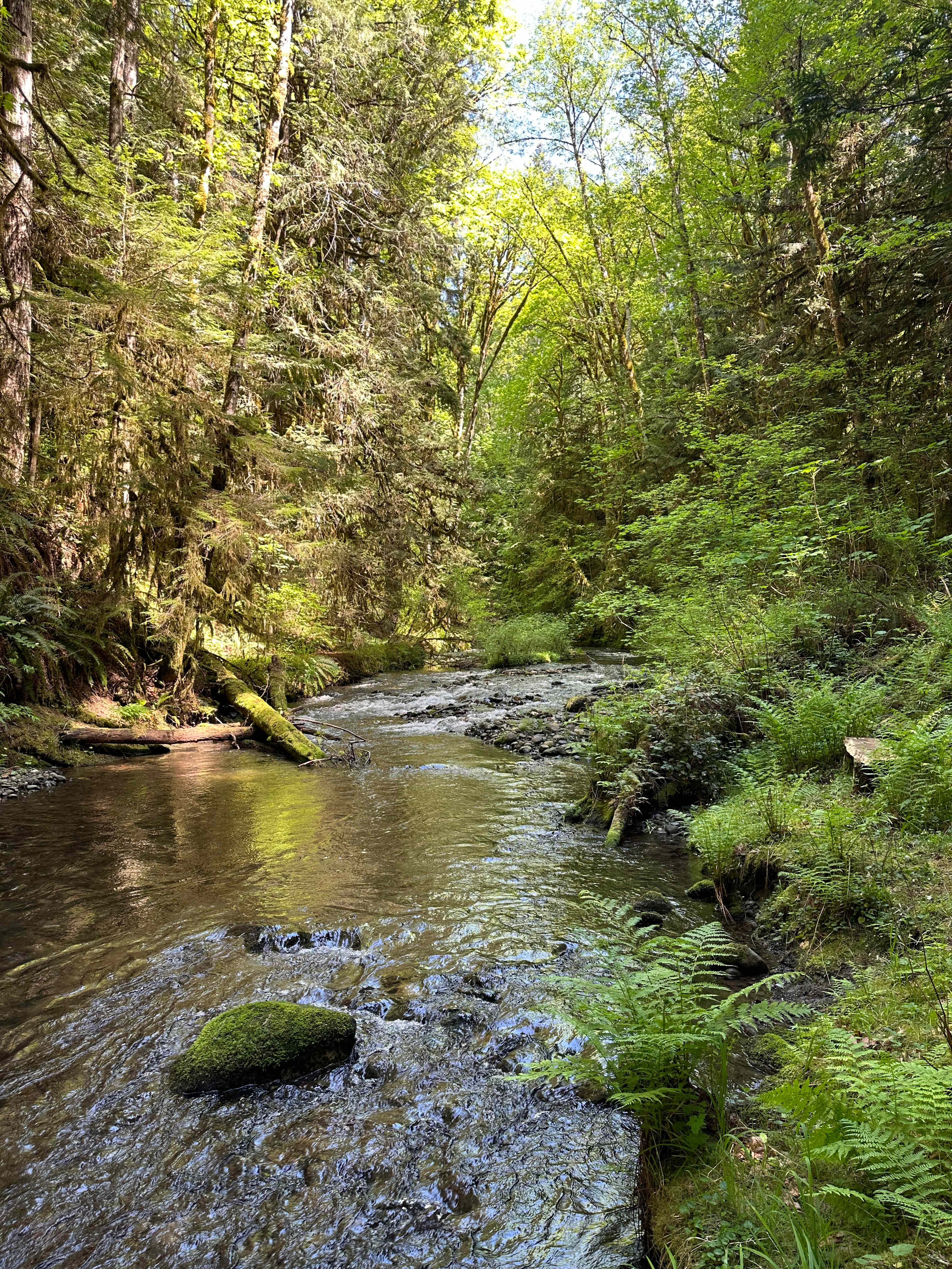 Little River Hideaway