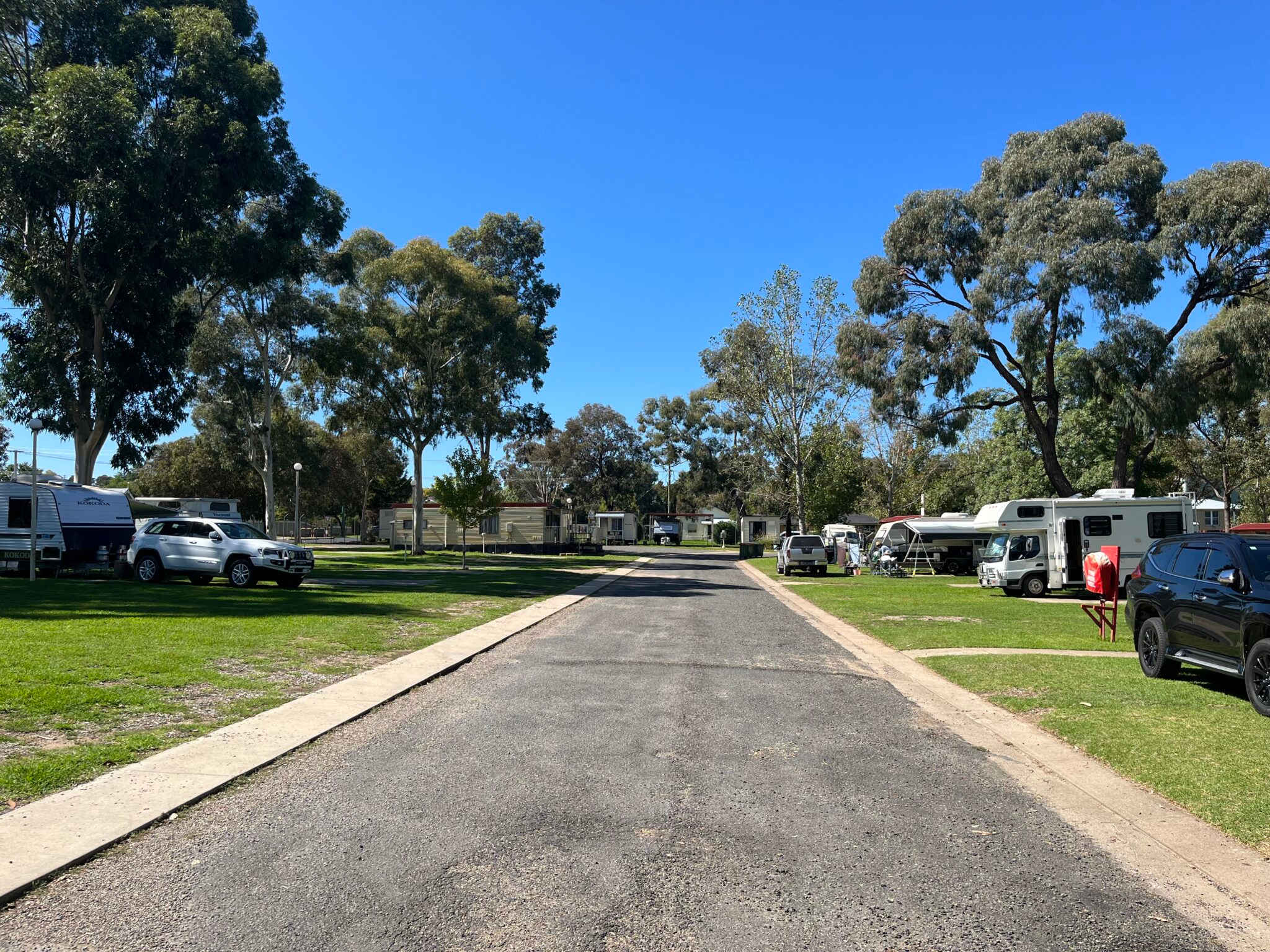 Young Tourist Park