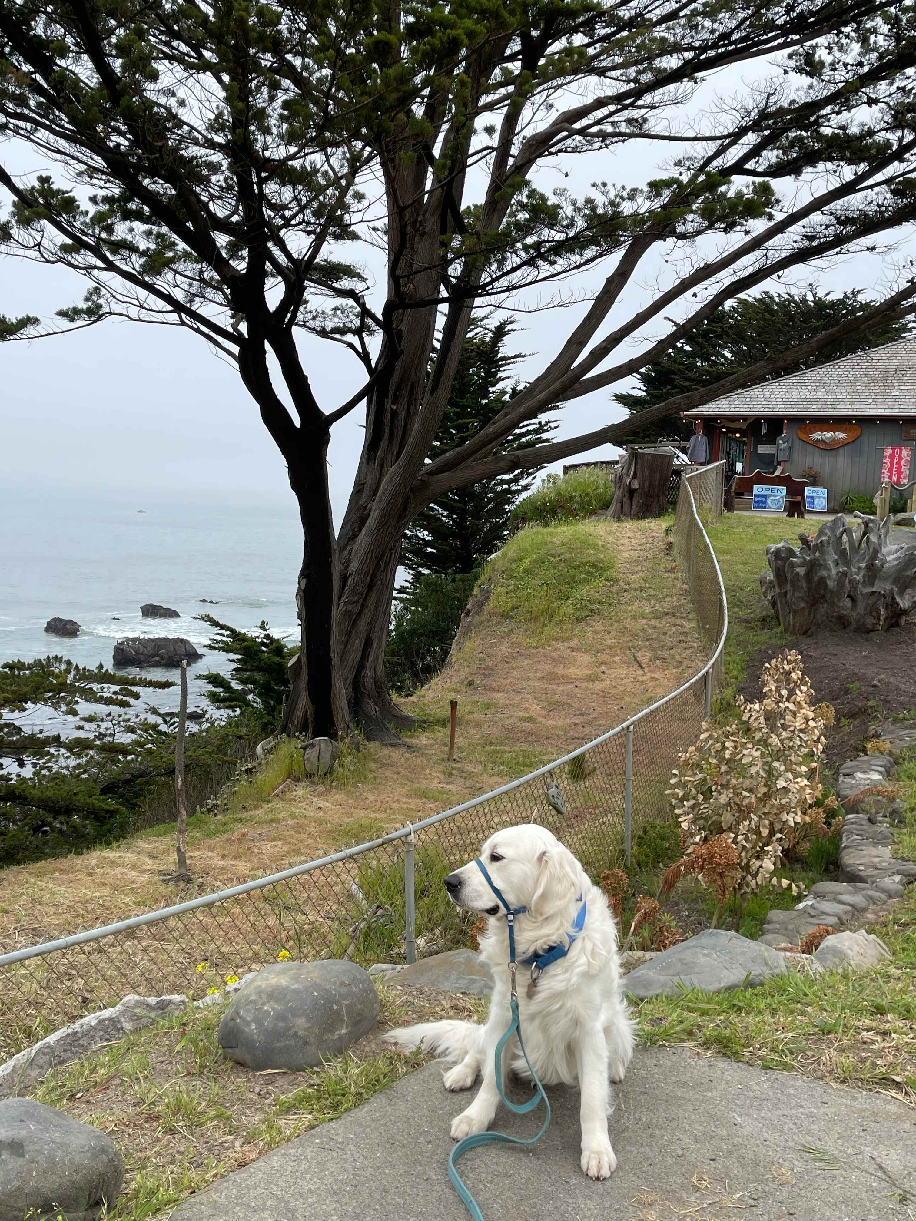 Shelter Cove