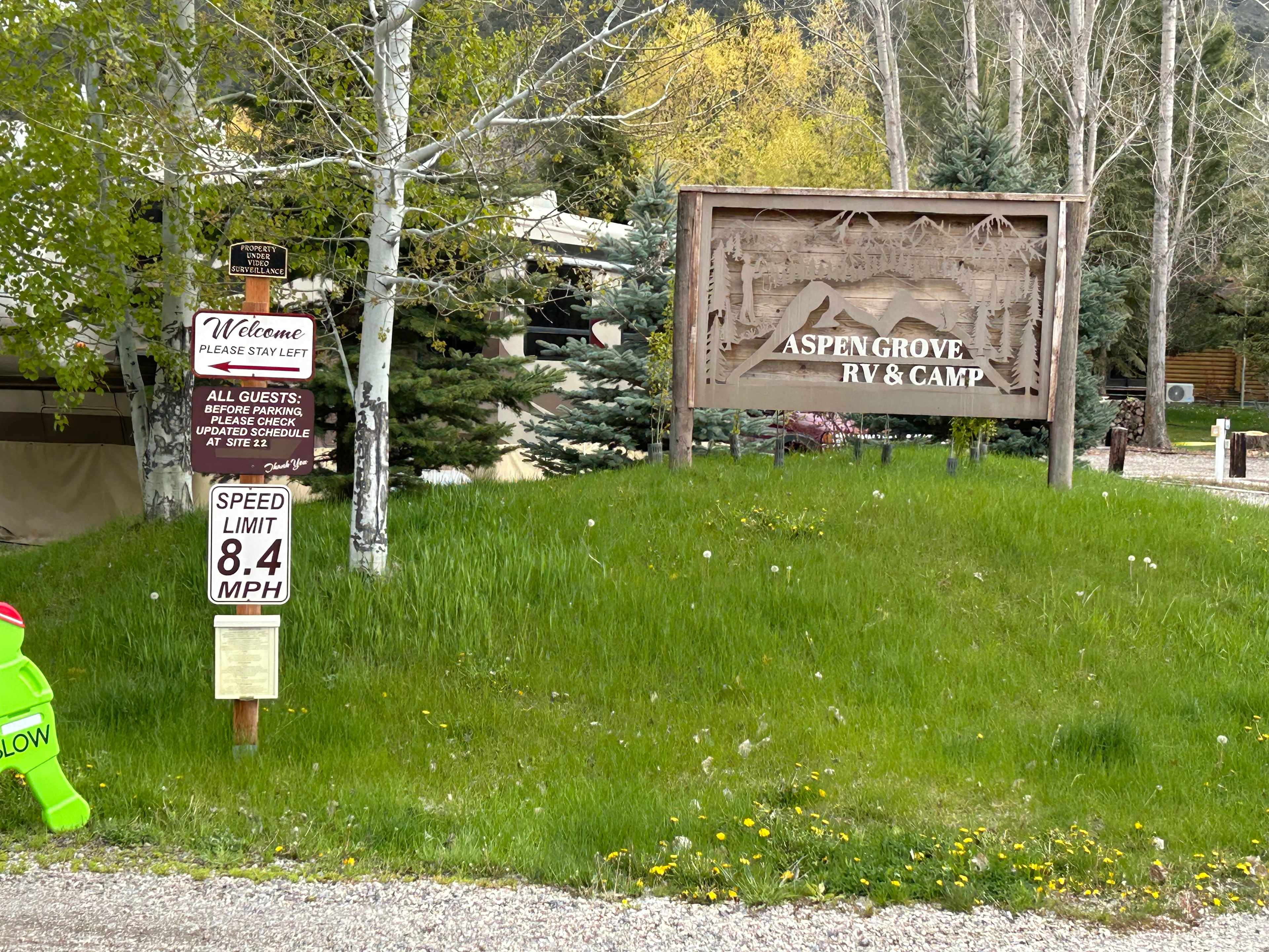 Picture of the site