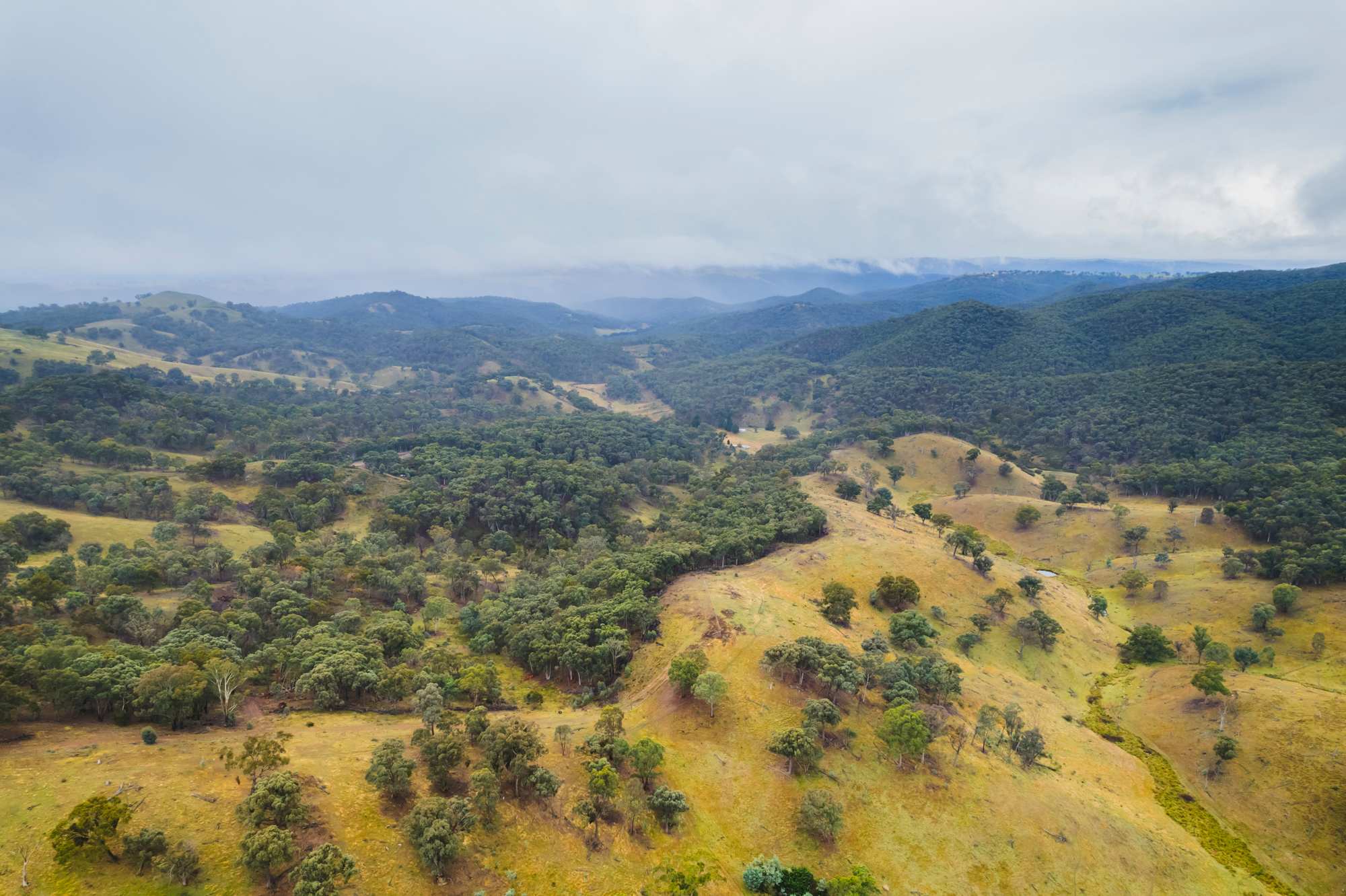 Birds eye view of the surrounds