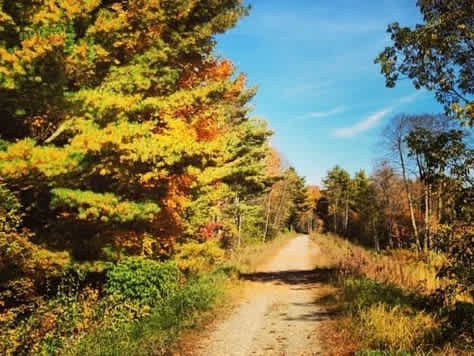 Missisquoi Magic