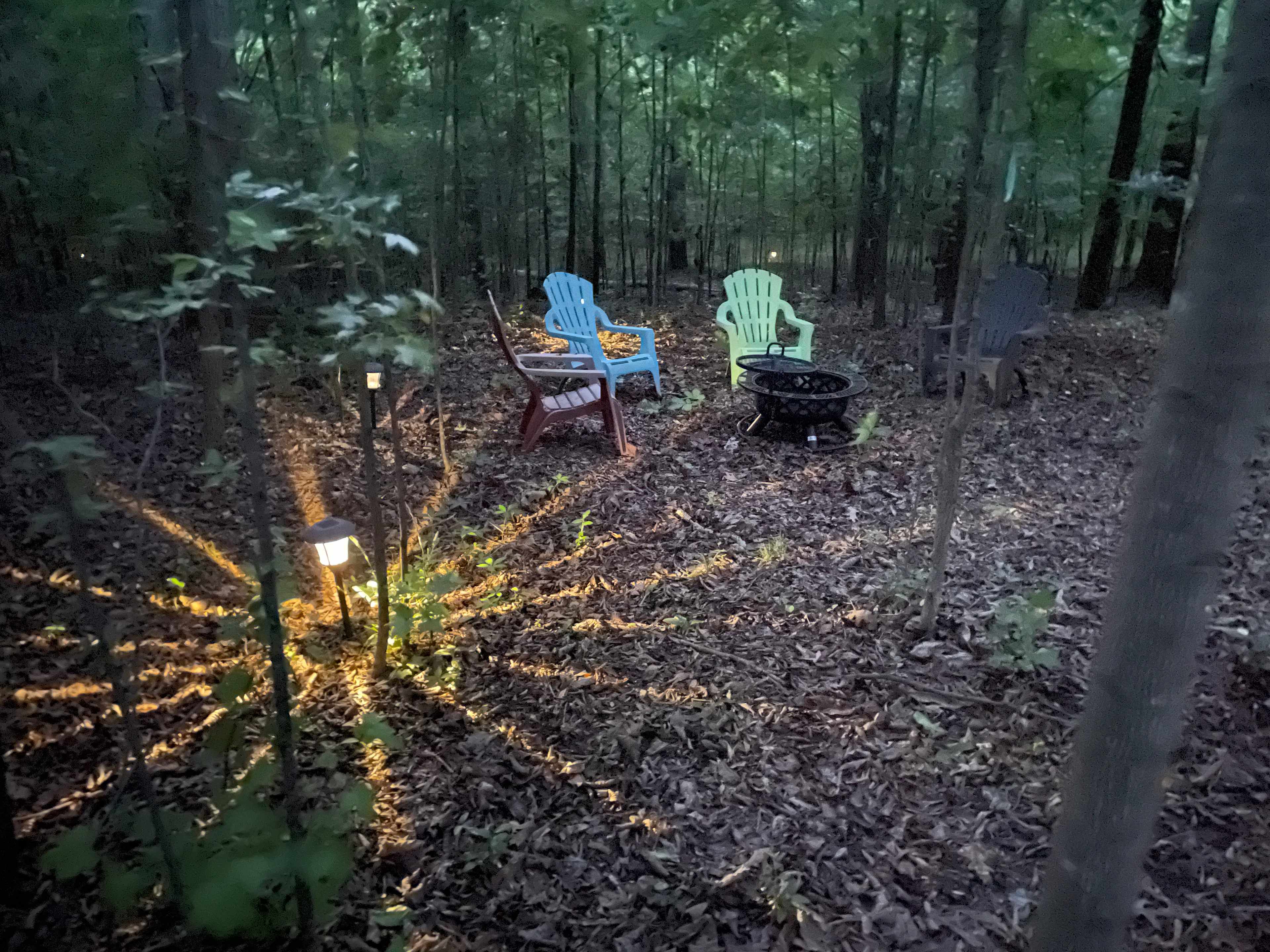 Cj’s Suburban Oasis