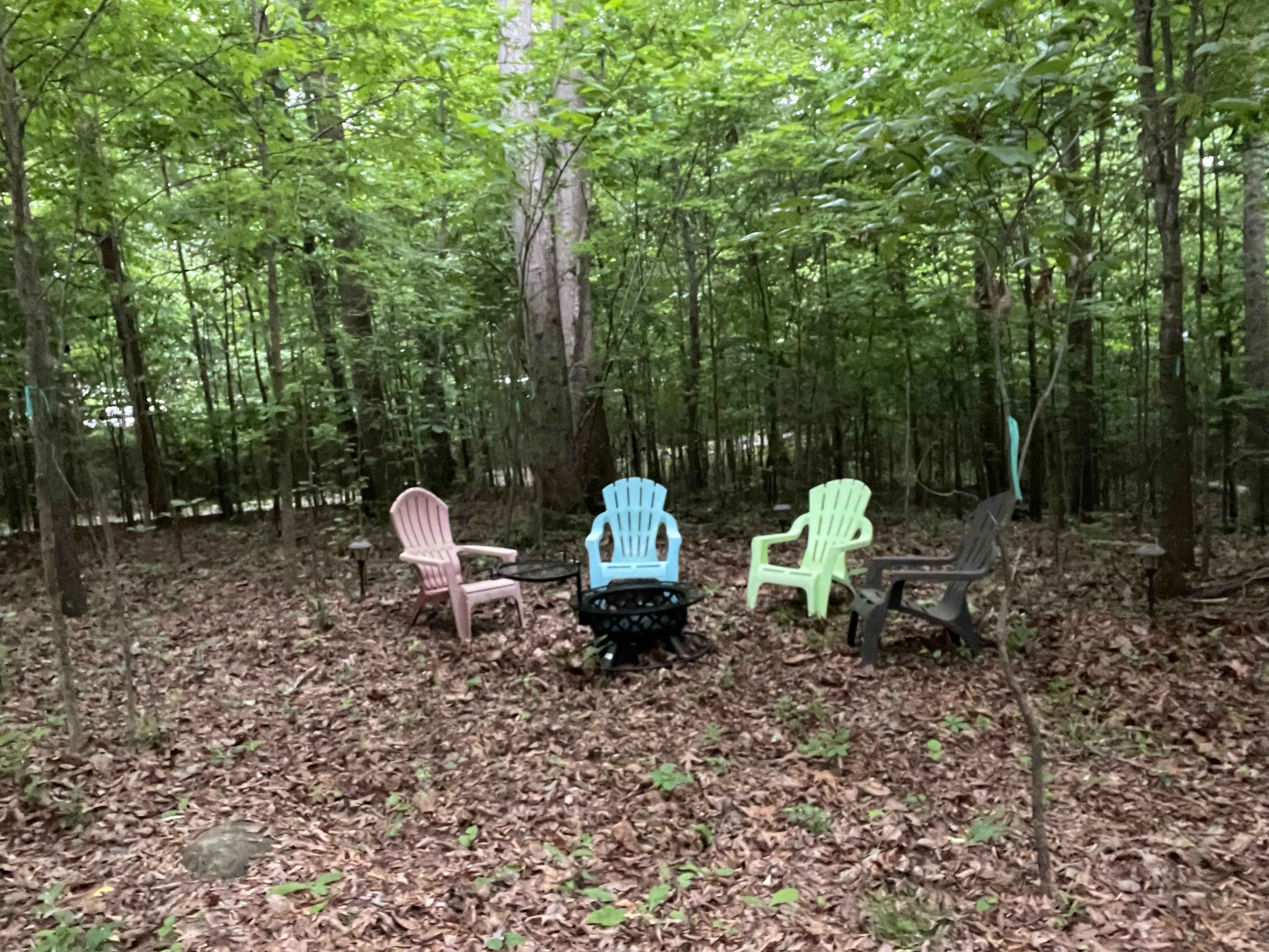 Cj’s Suburban Oasis