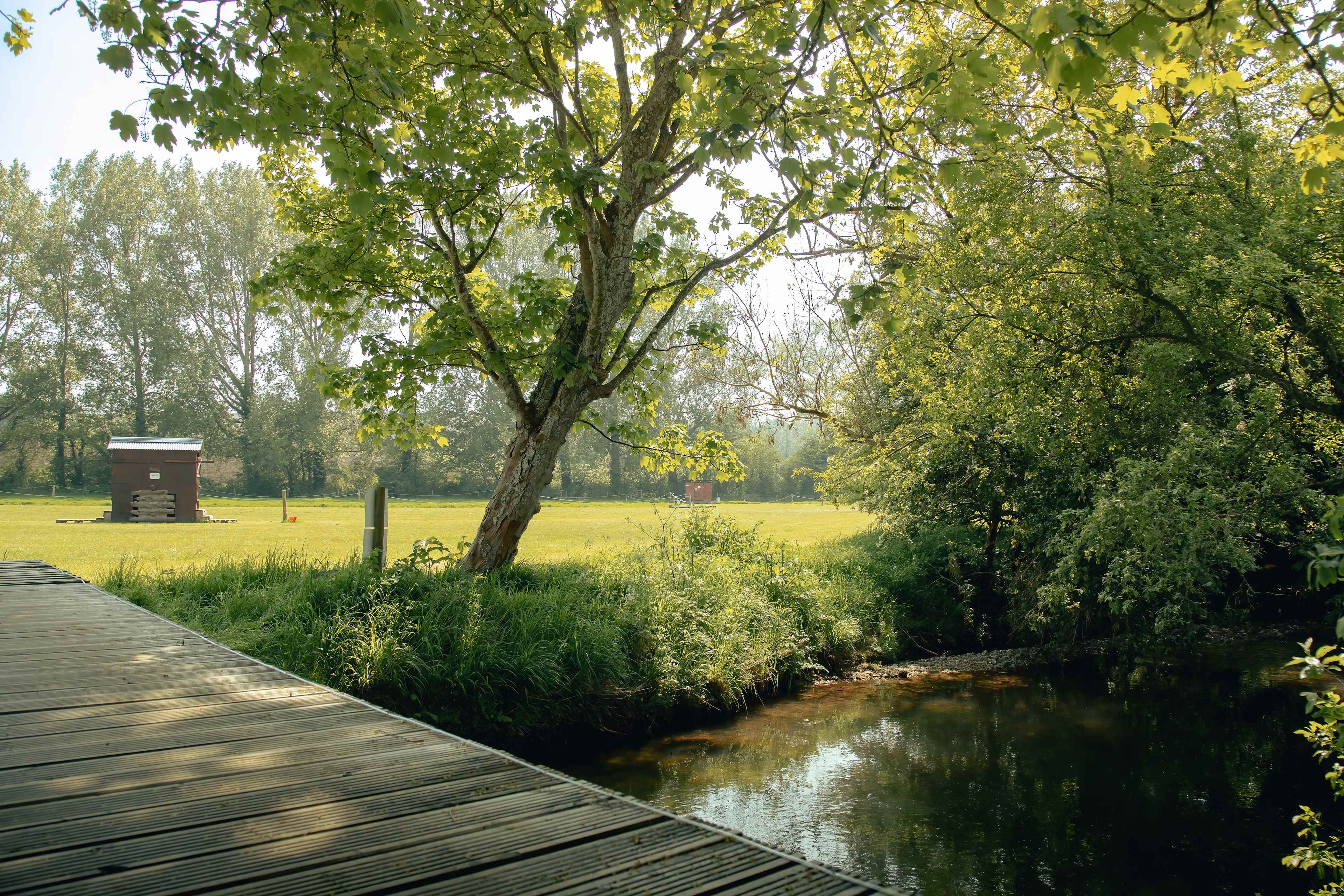 Relaxing flowing river next to both campsites.