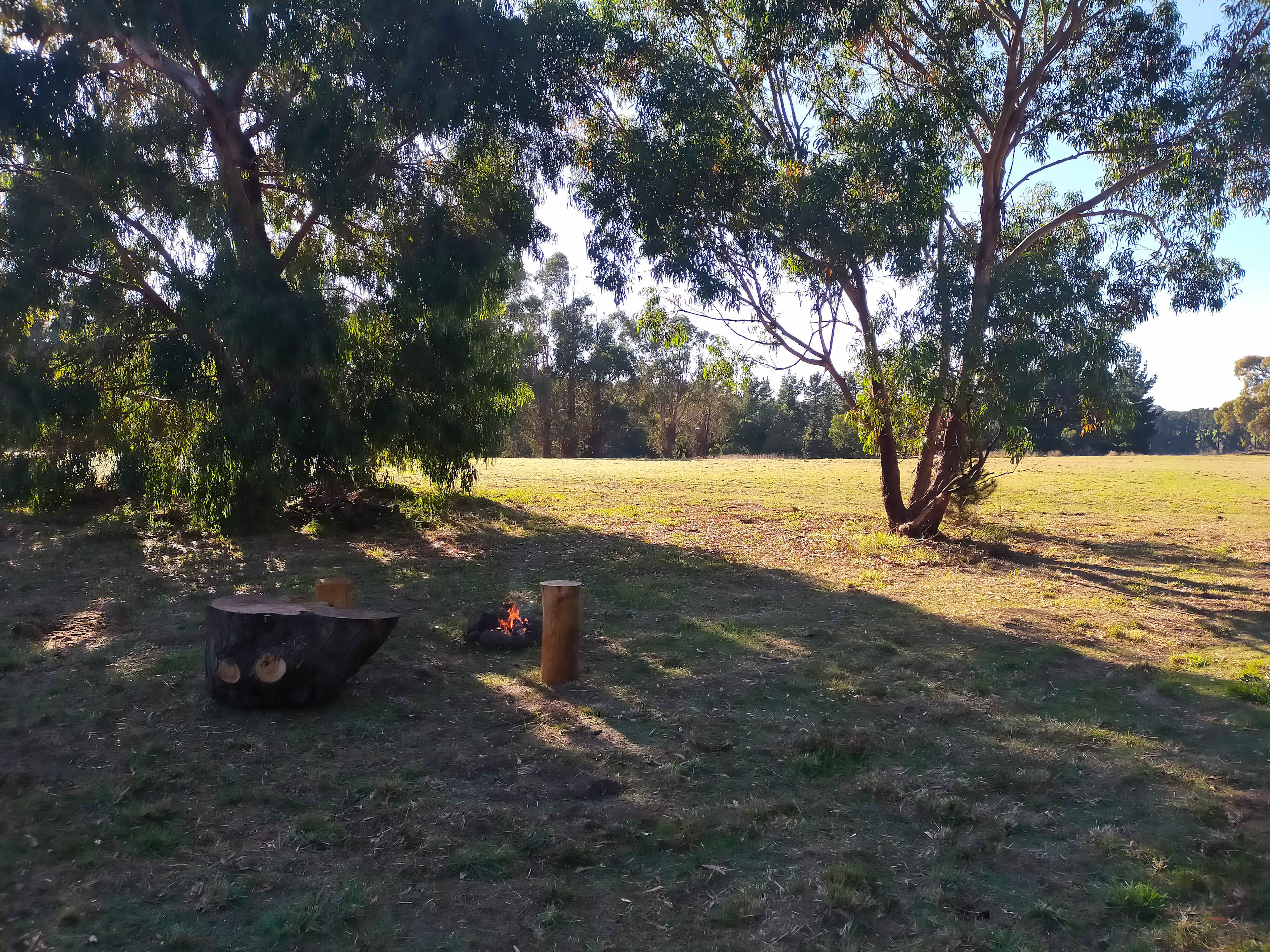 Foxes Den