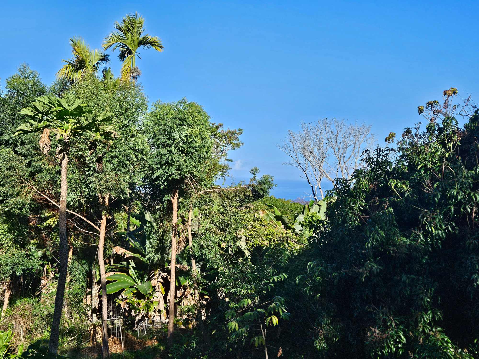 From porch during the day.