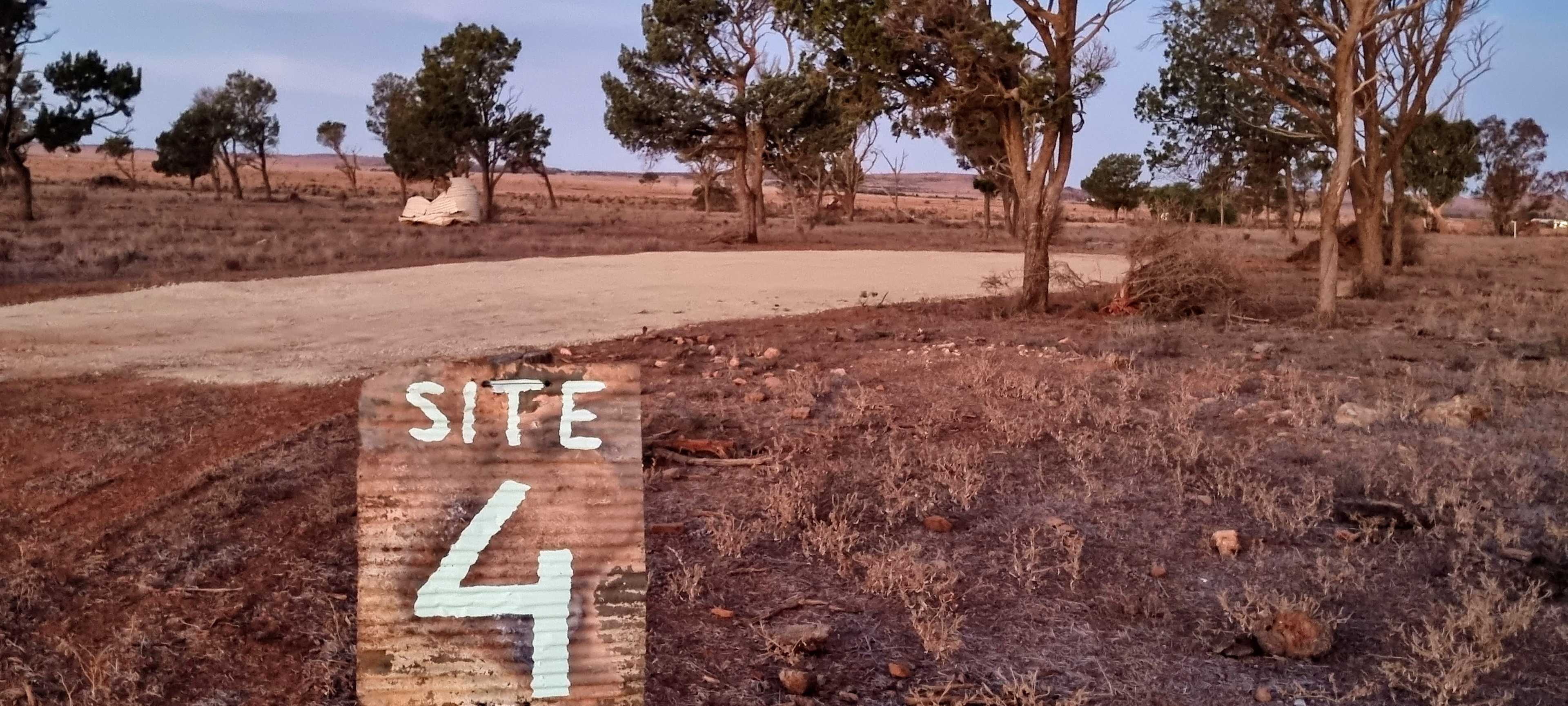 Picture of the site