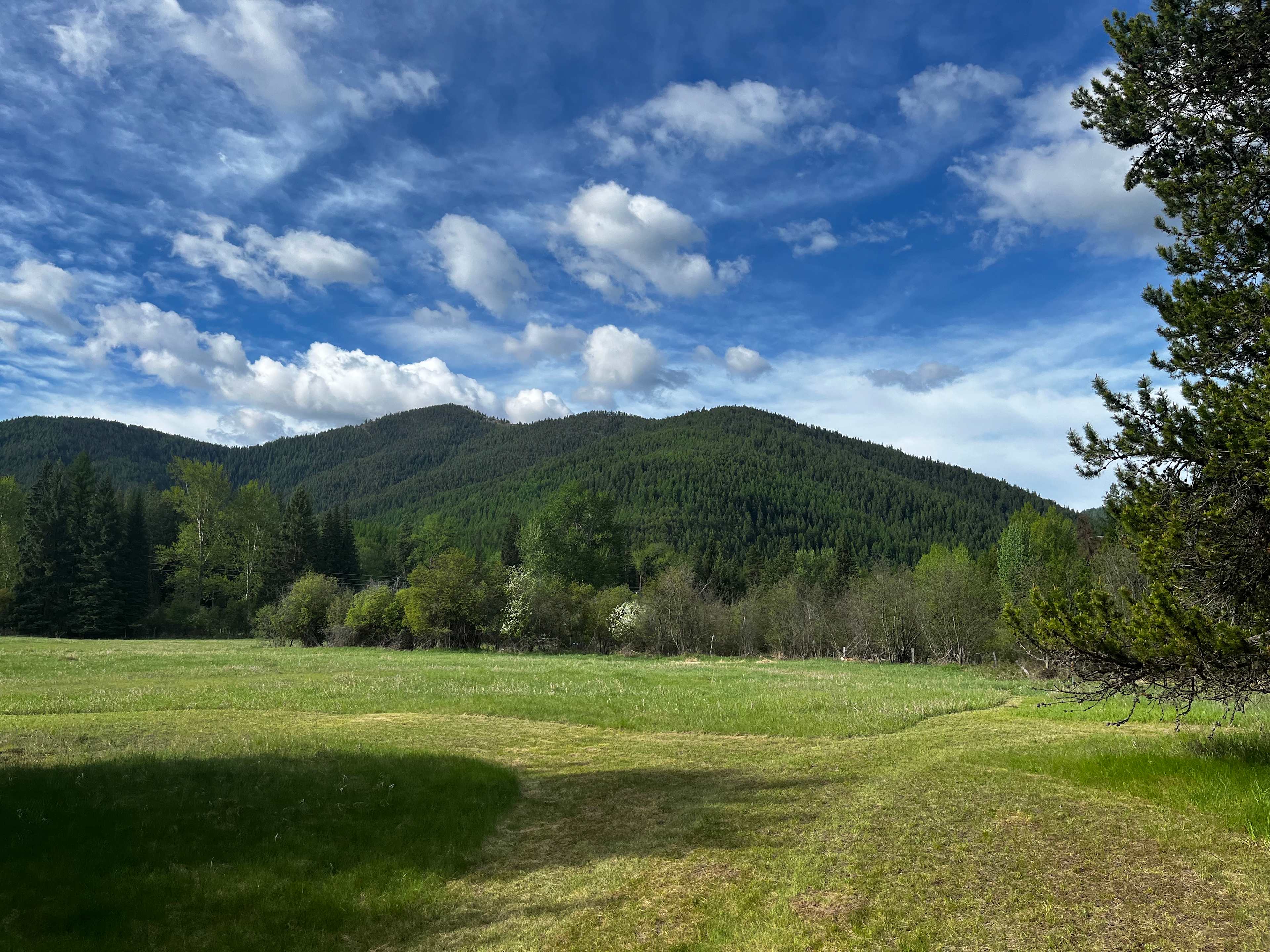 Wild Farm Camp