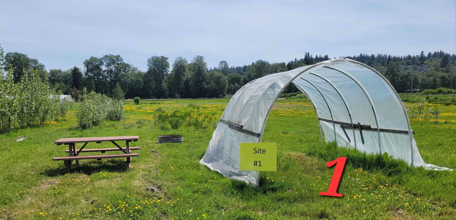 Picture of the site