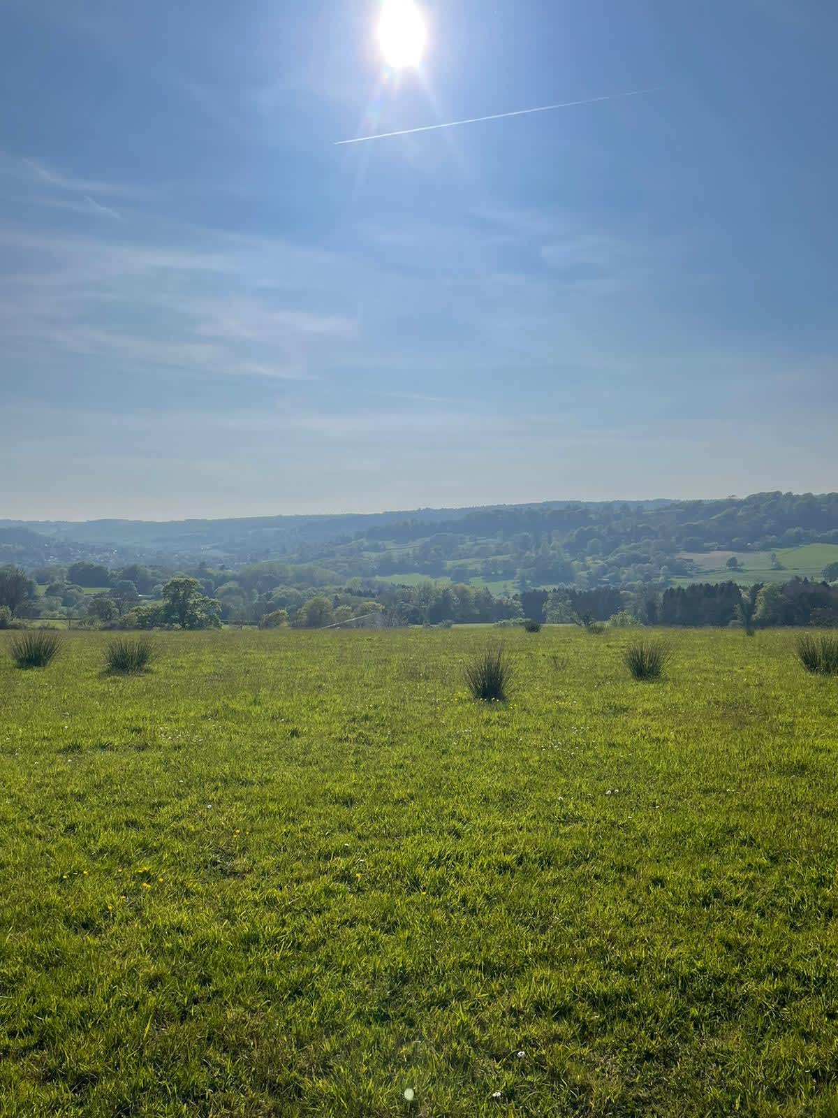 Berries Farm Camping