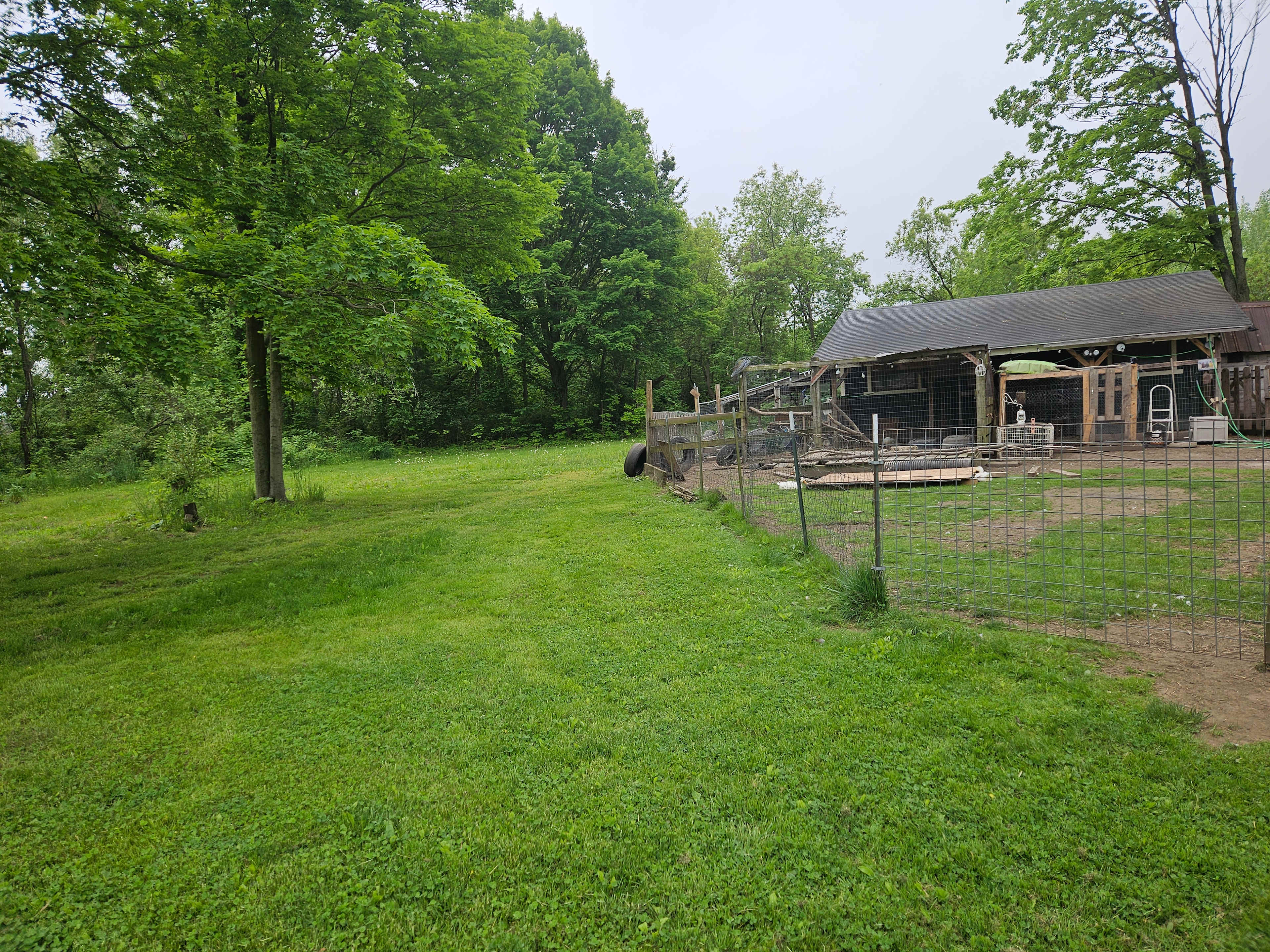 A Waggin' Good Time At Mellow Acres