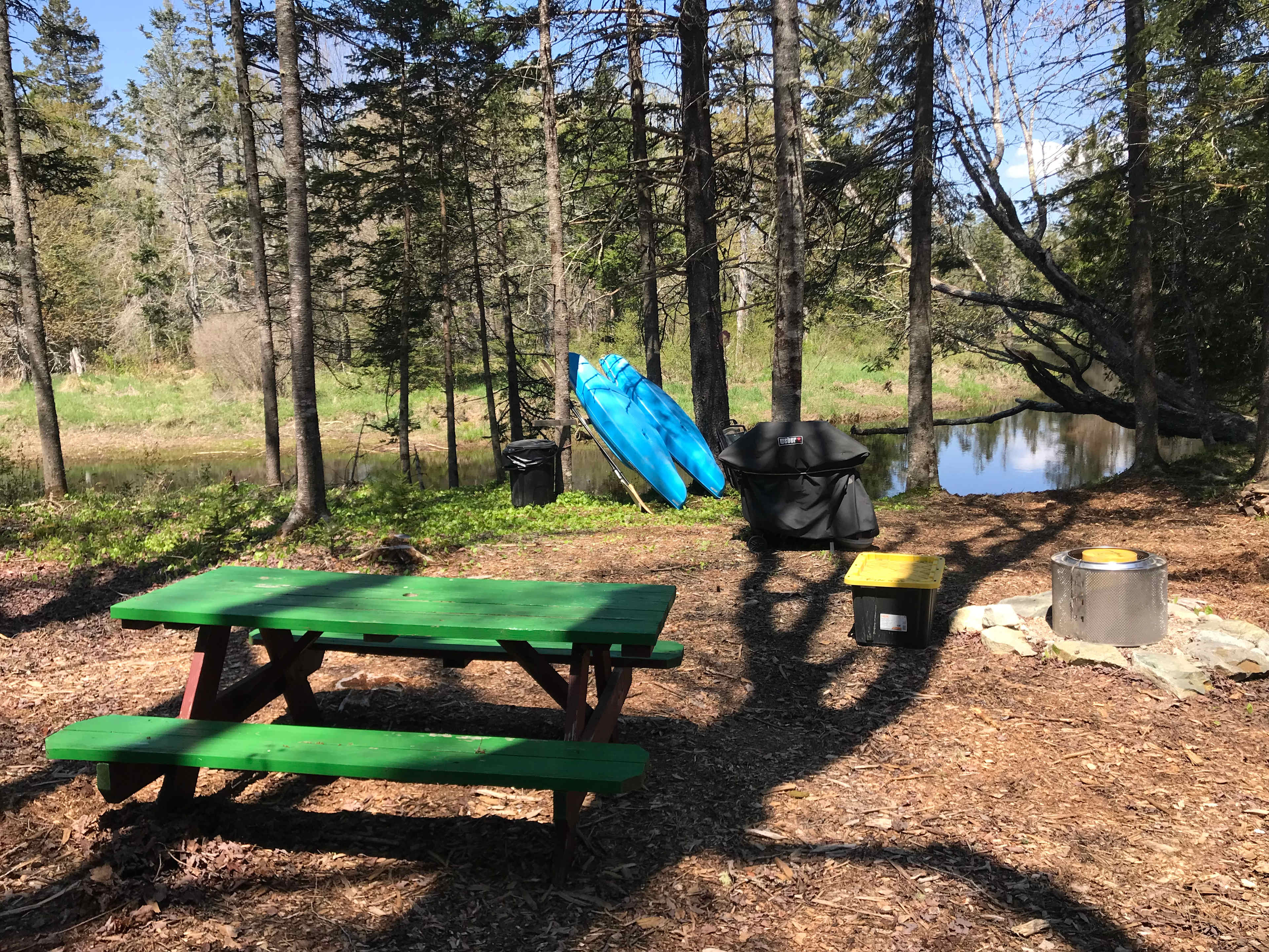 Community pic nic area with loaner kayaks bbq grill and swim area