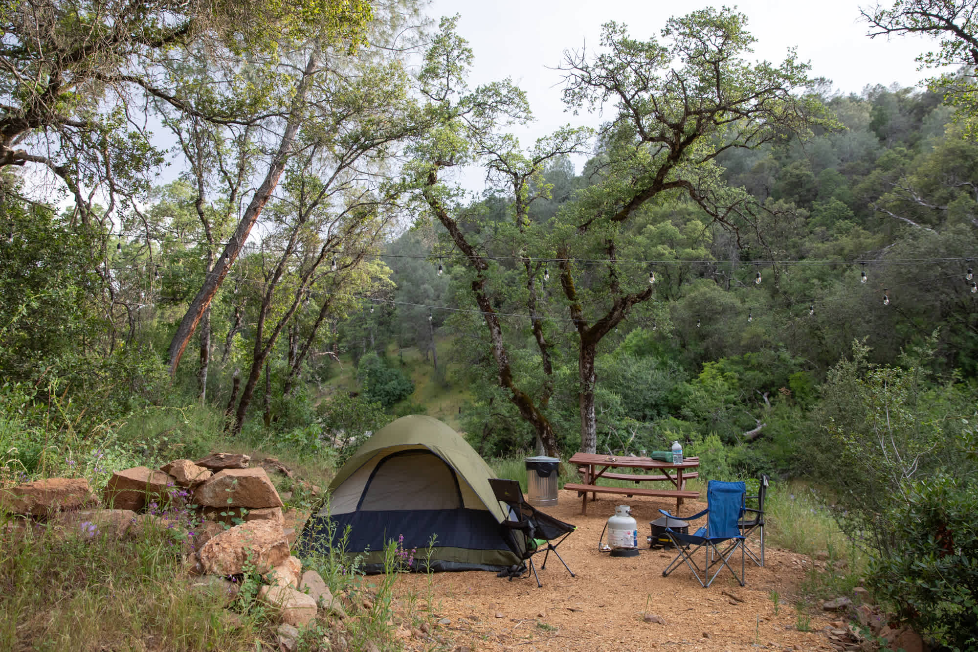 This is site #1 right next to the creek