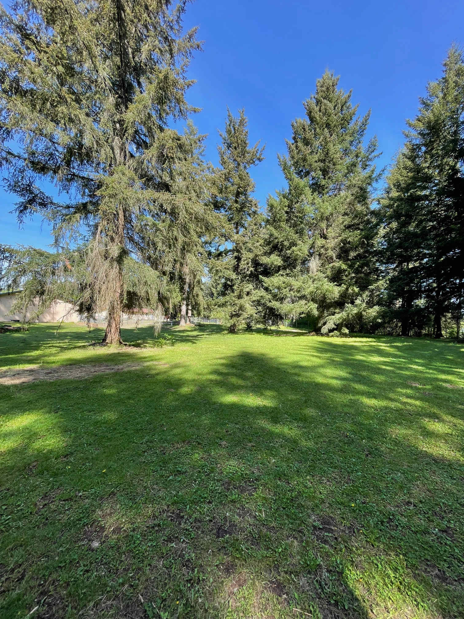 You can see the back of the barn from this spot.  