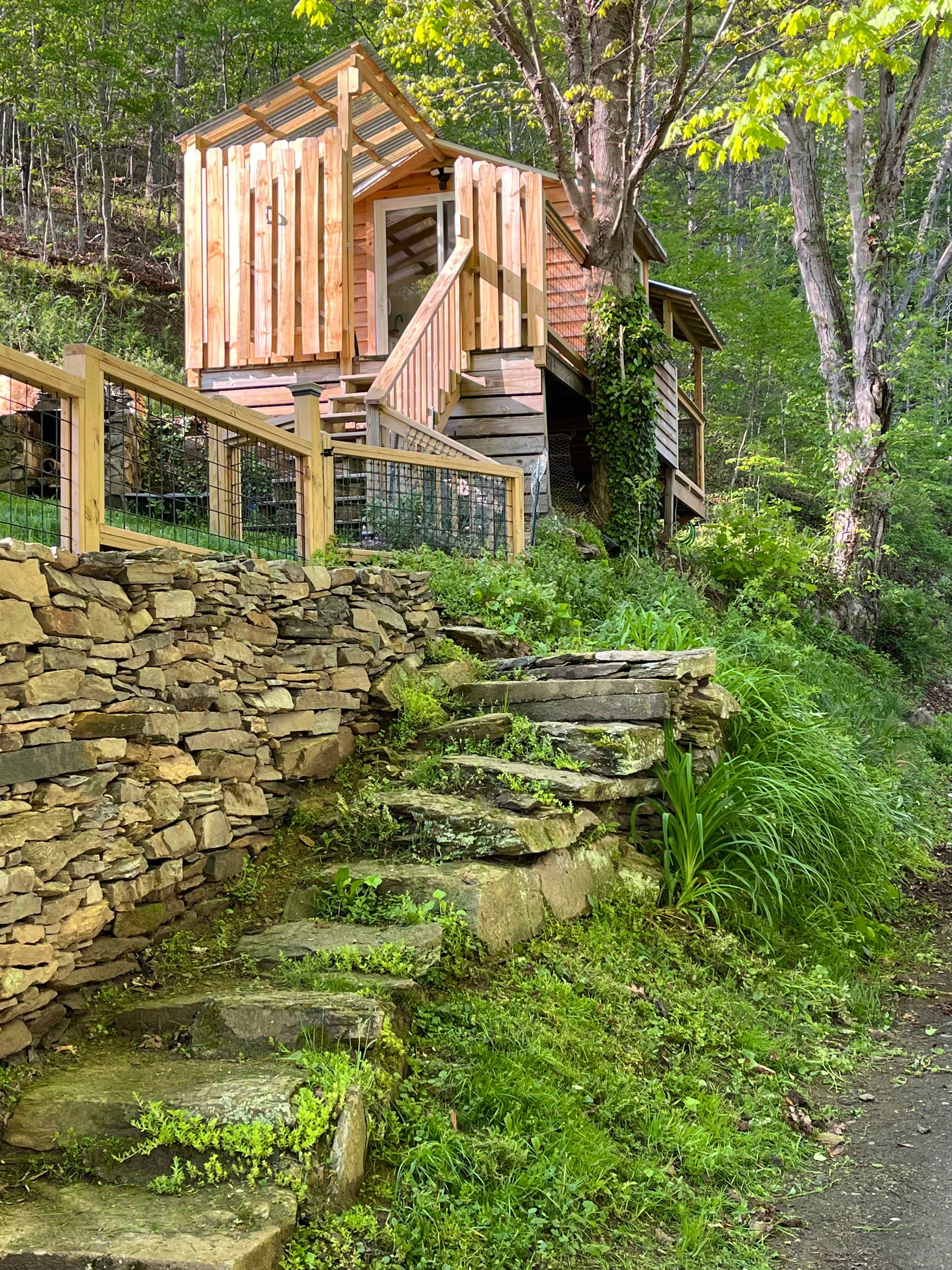 Stone steps to the cabin