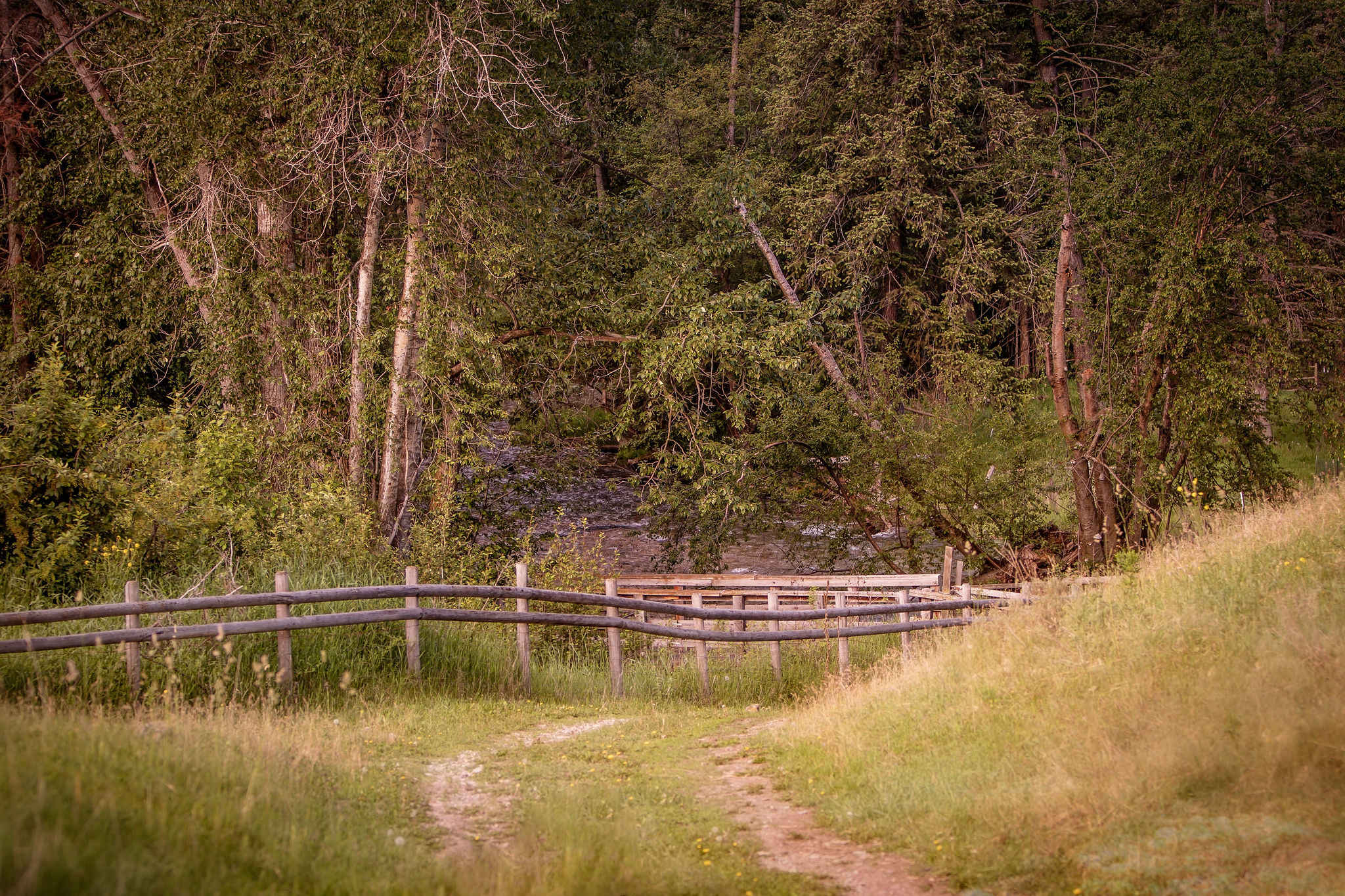Mission Falls Ranch