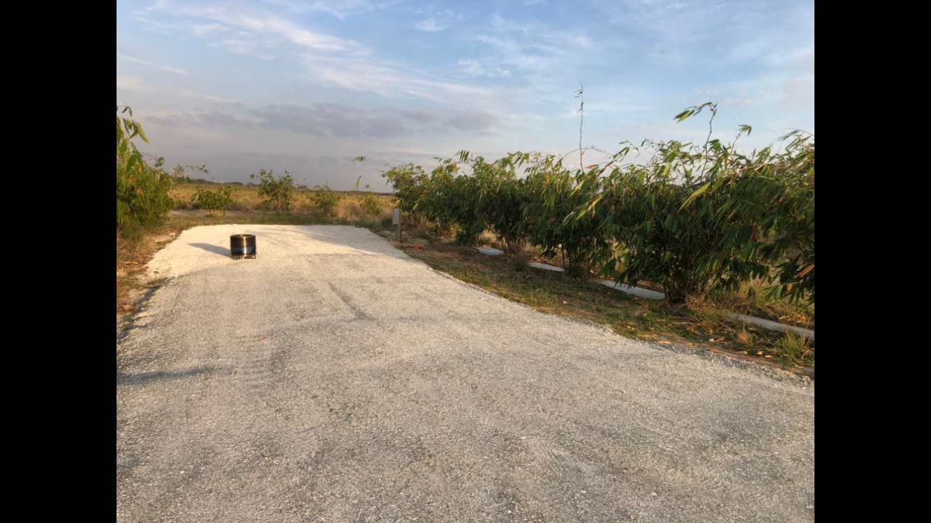 Joy Bamboo Forest Farm