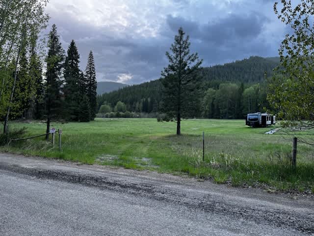 Wild Farm Camp