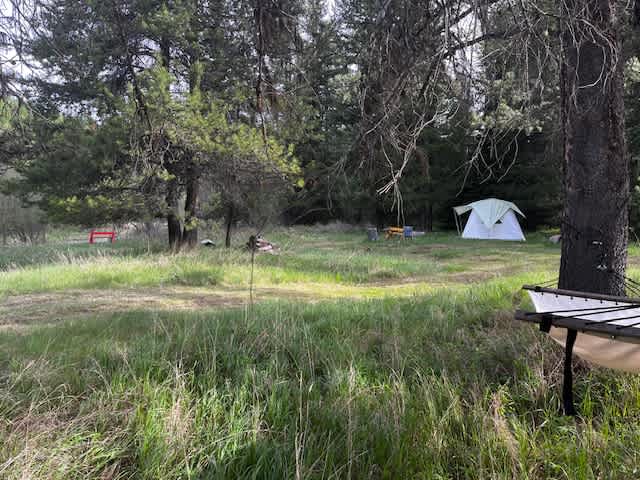 Wild Farm Camp