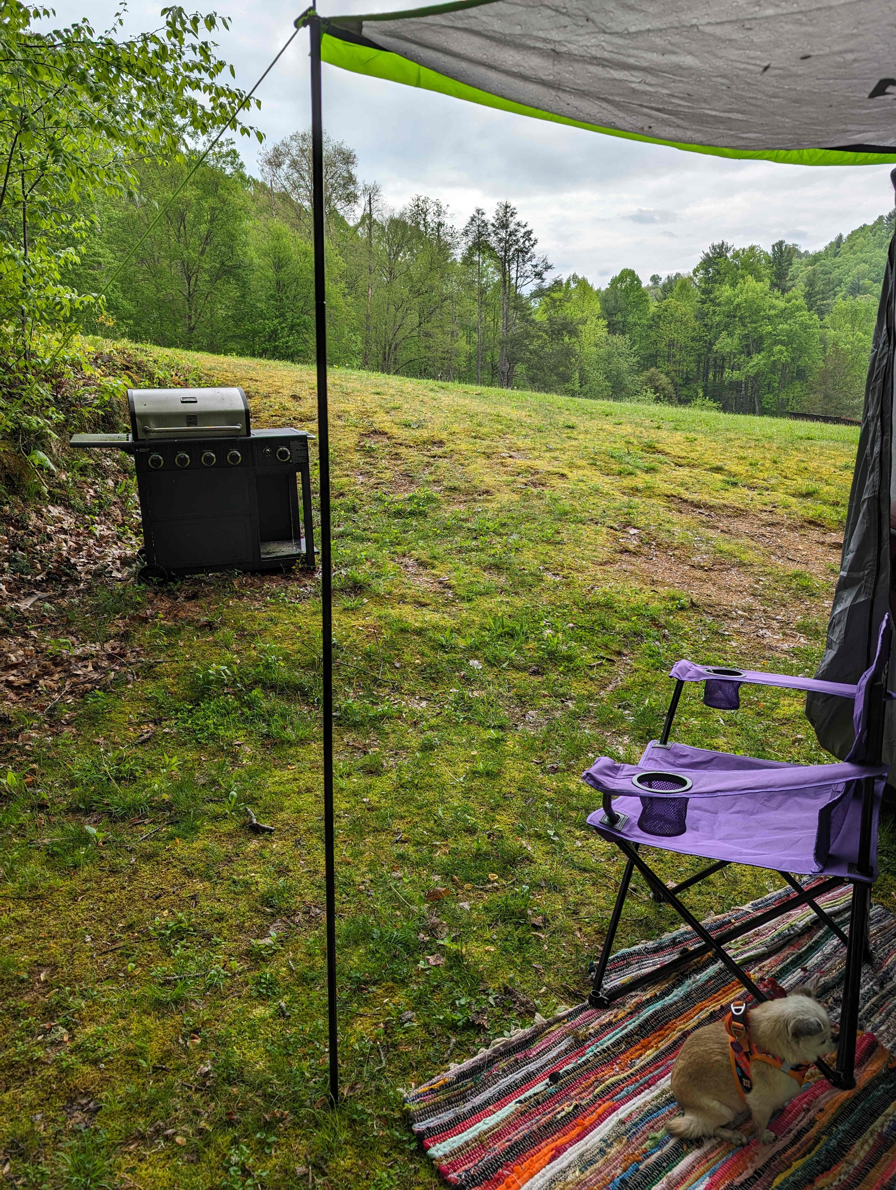 Picture of the site
