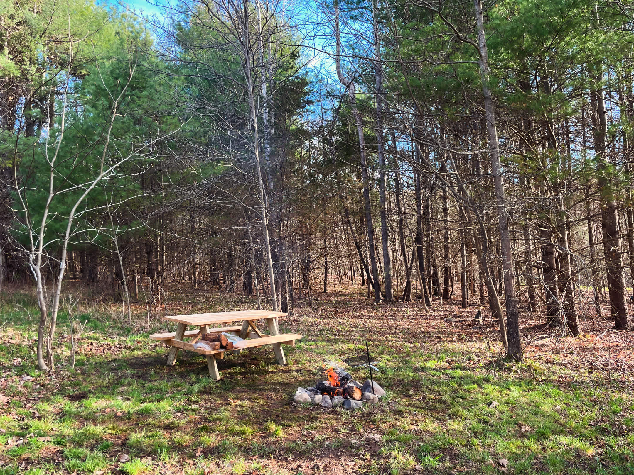 Picture of the site