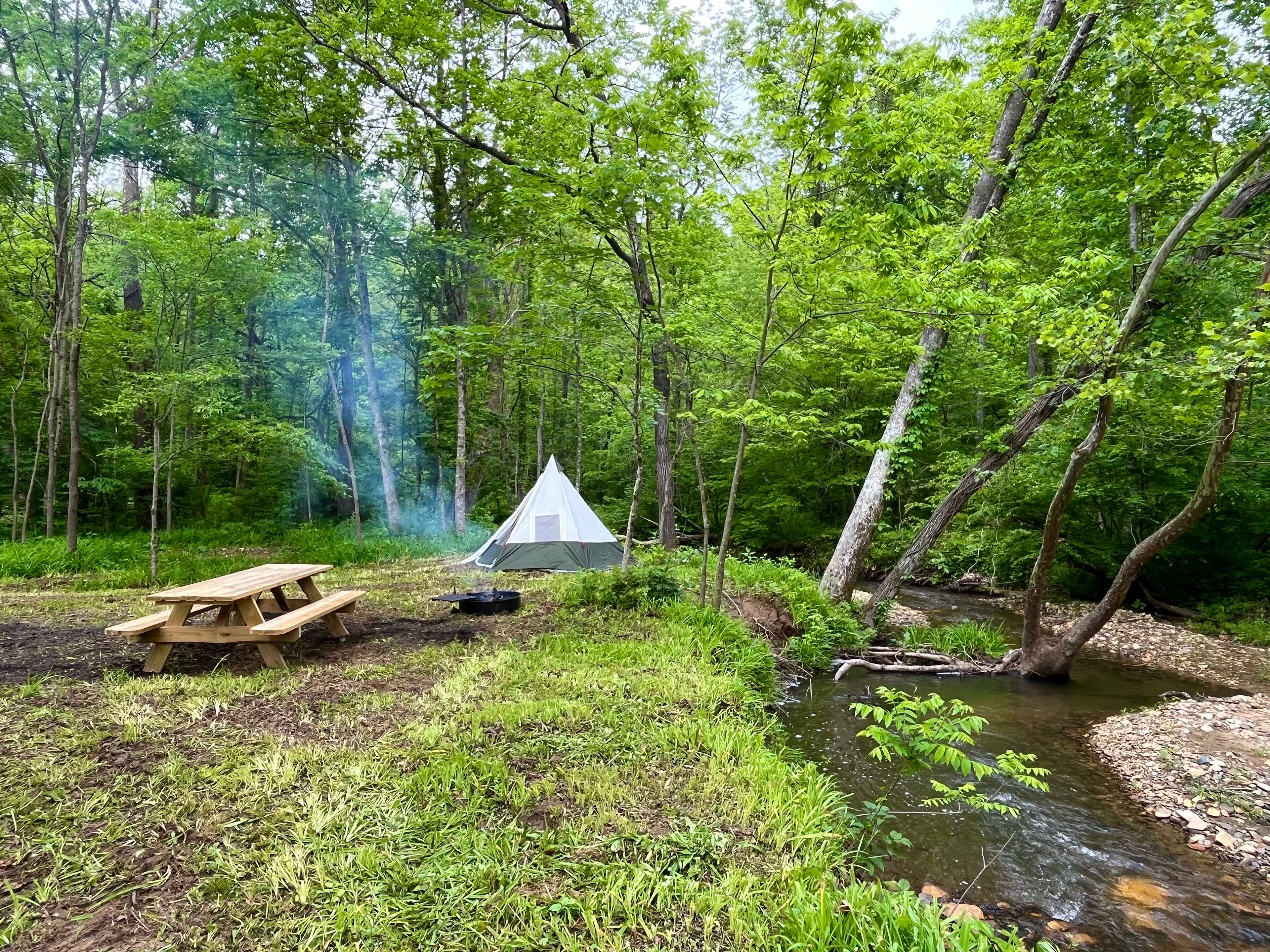 Picture of the site