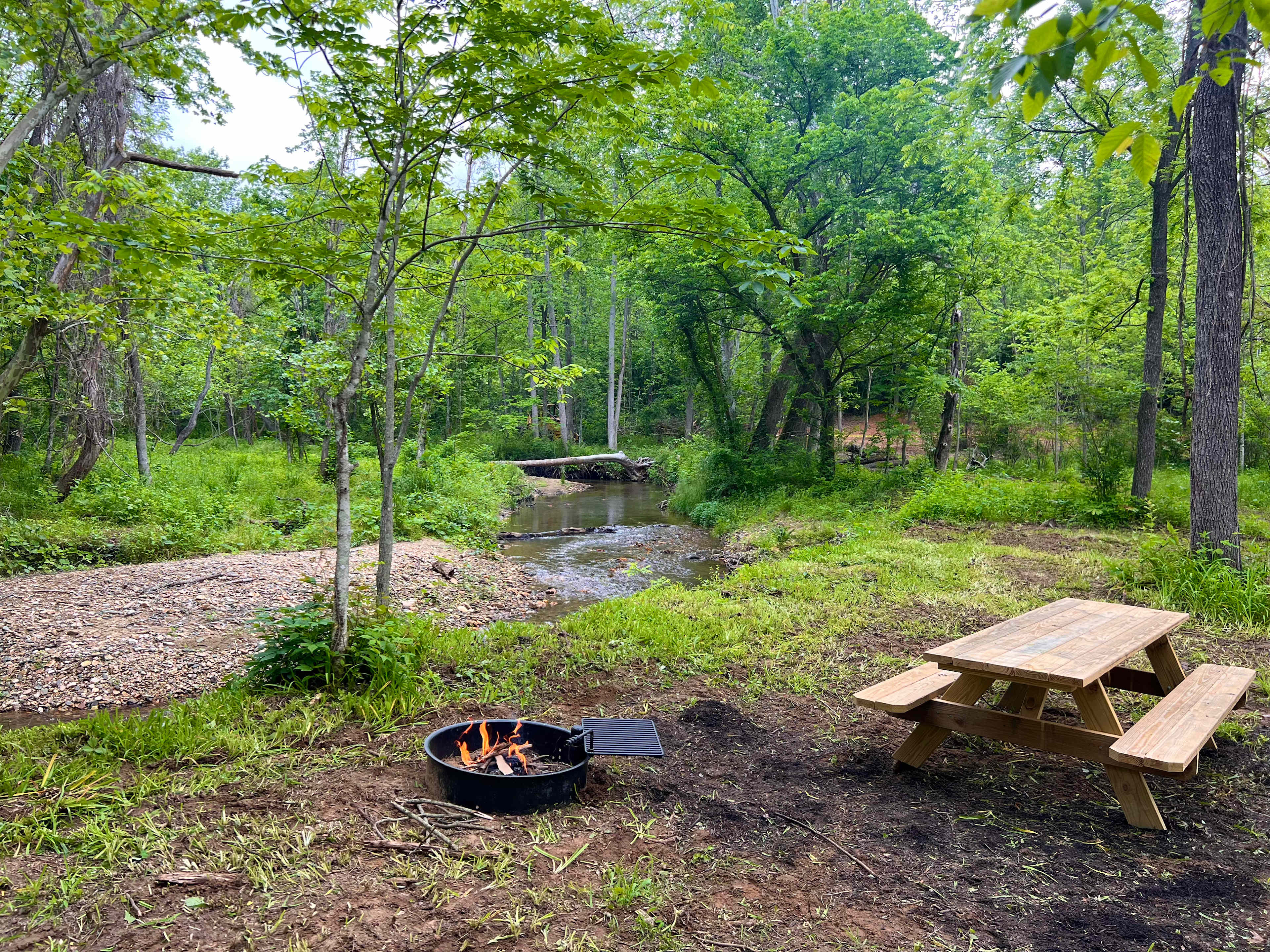 Picture of the site