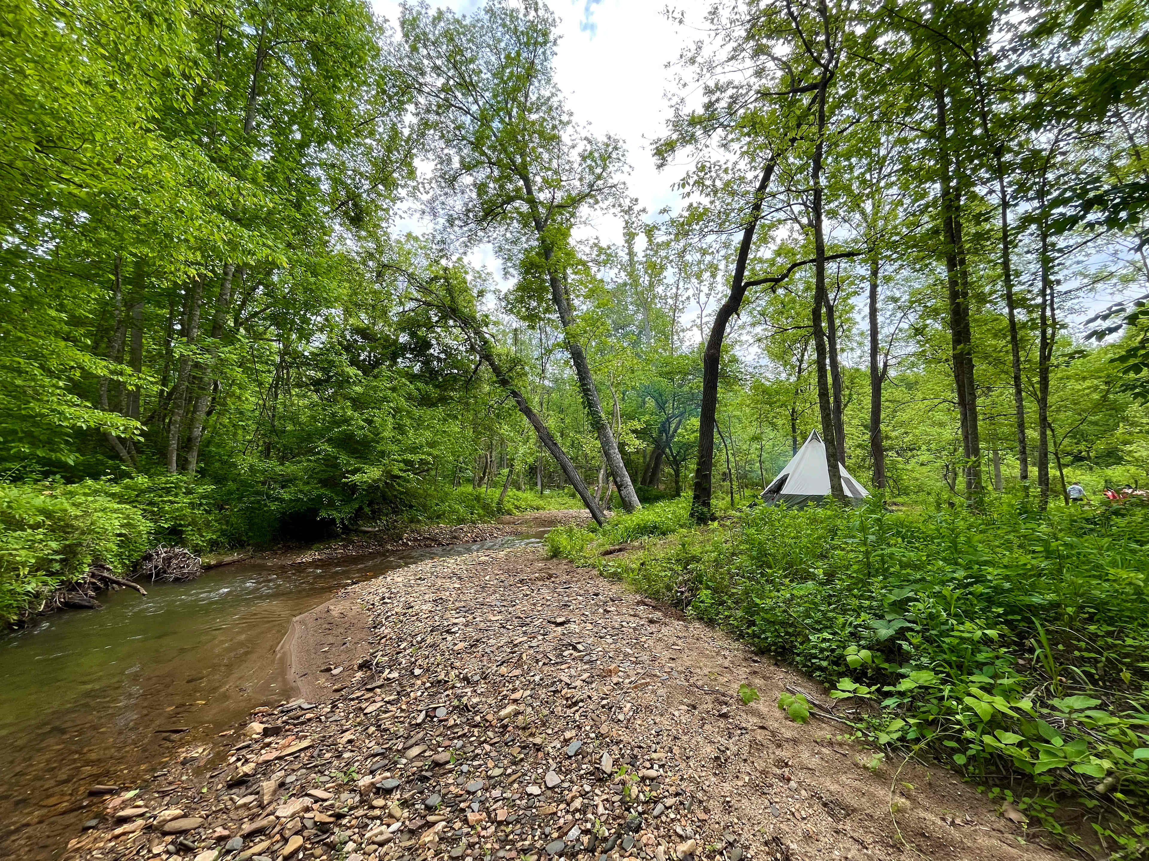 Picture of the site