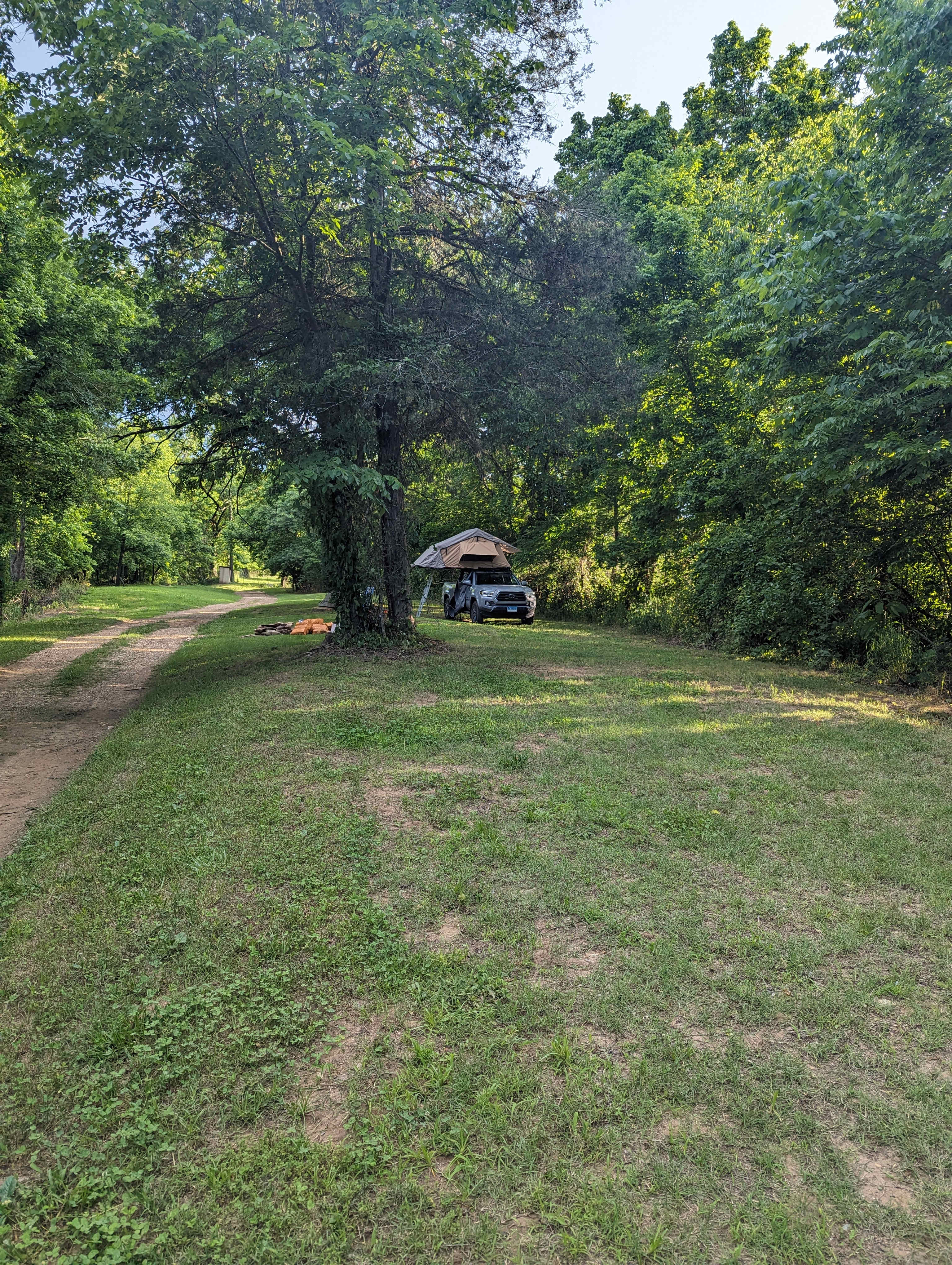 Picture of the site