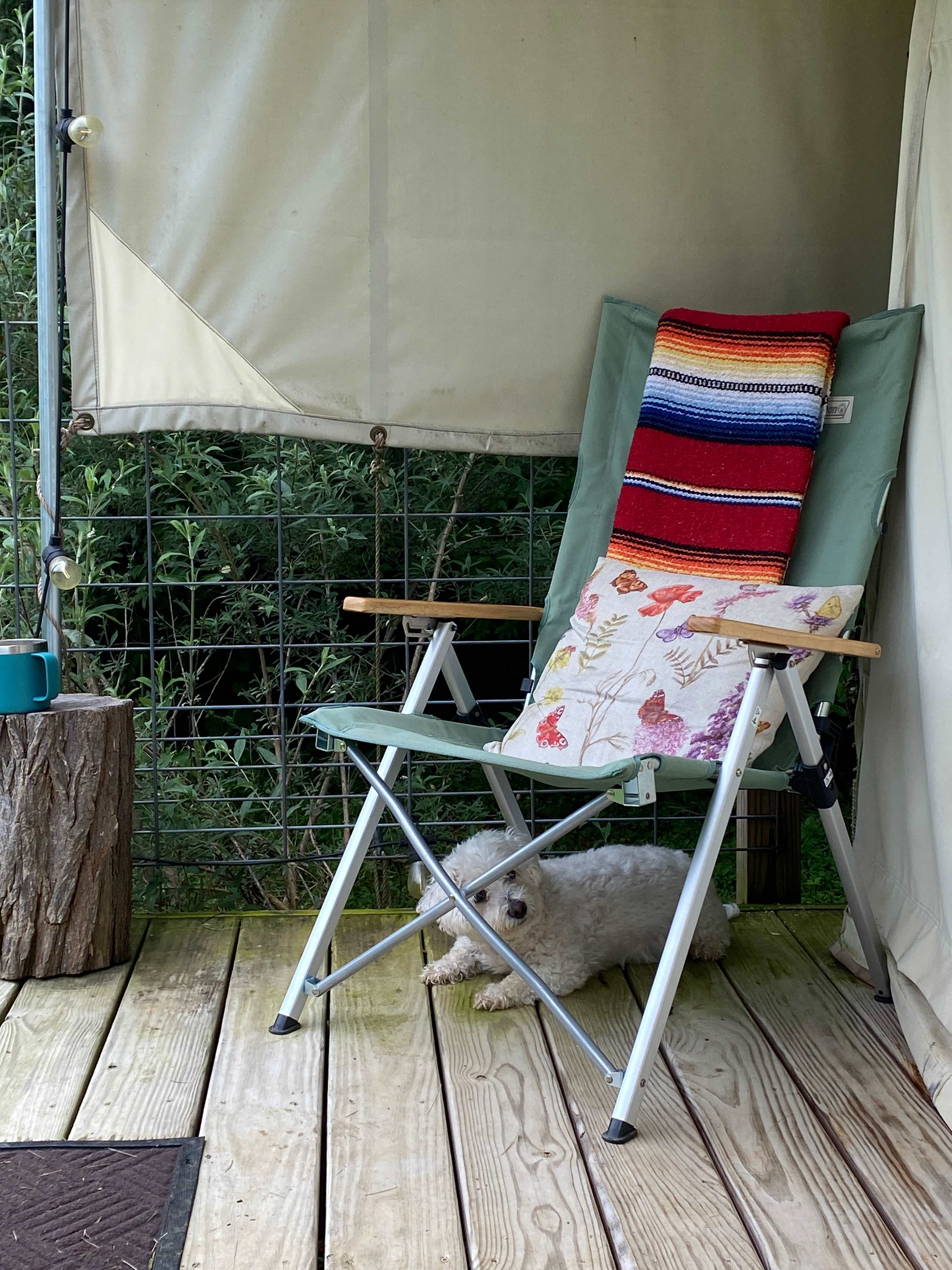 Camps at Evensong Farm