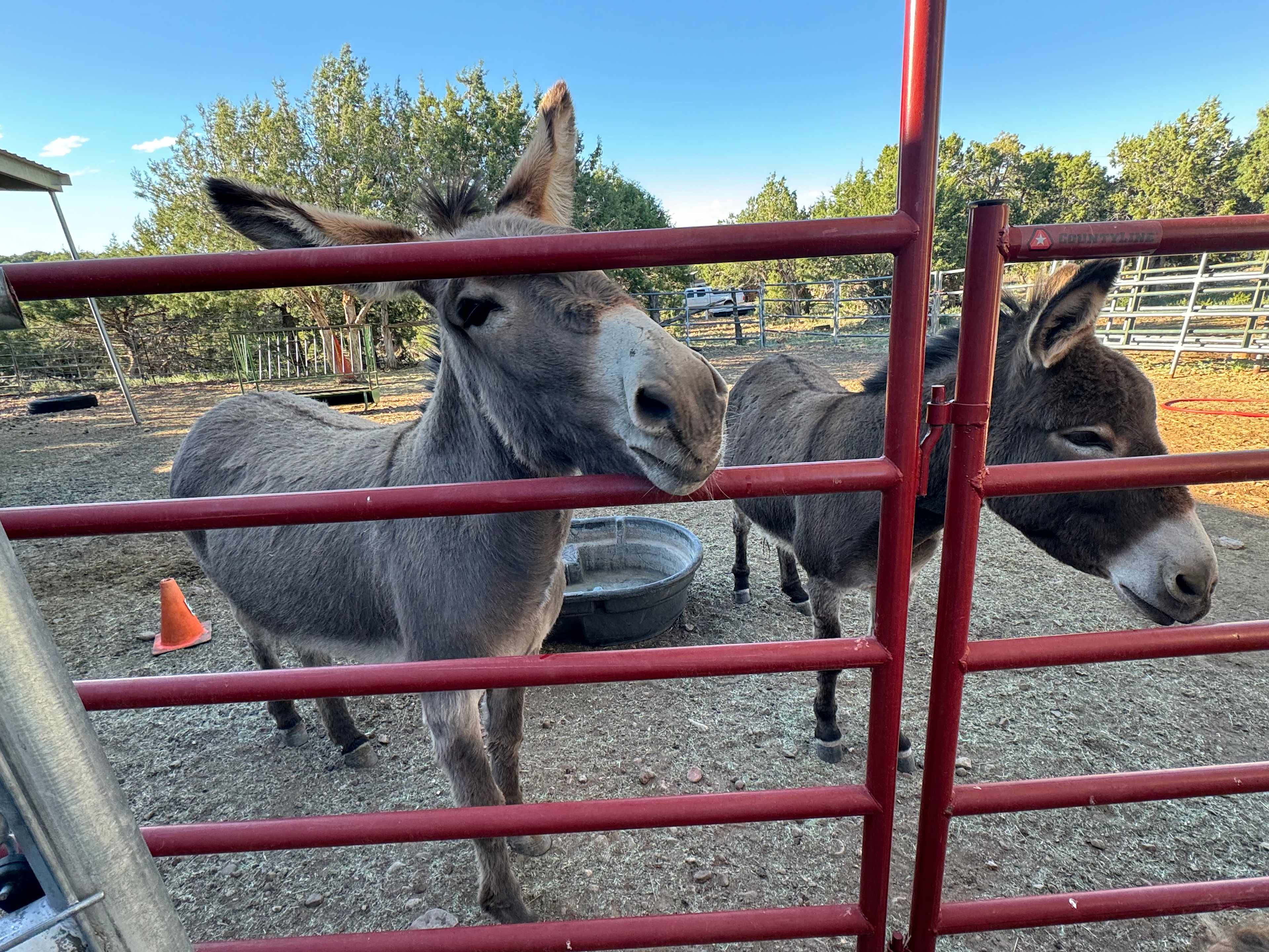 Horse friendly campsites