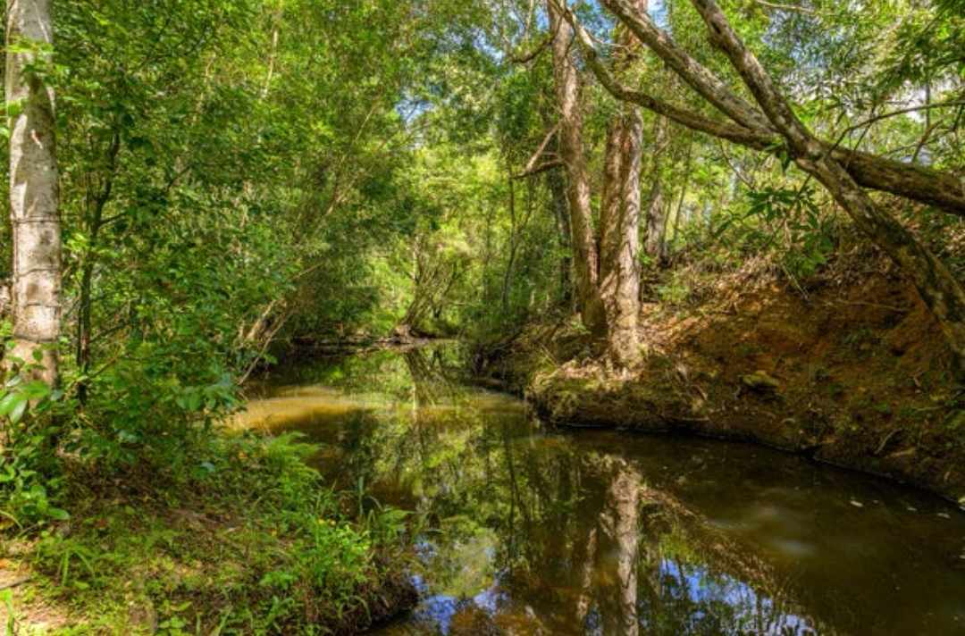 Sandycreek Homestead