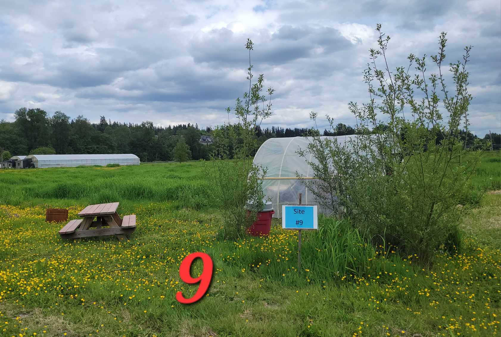 Picture of the site