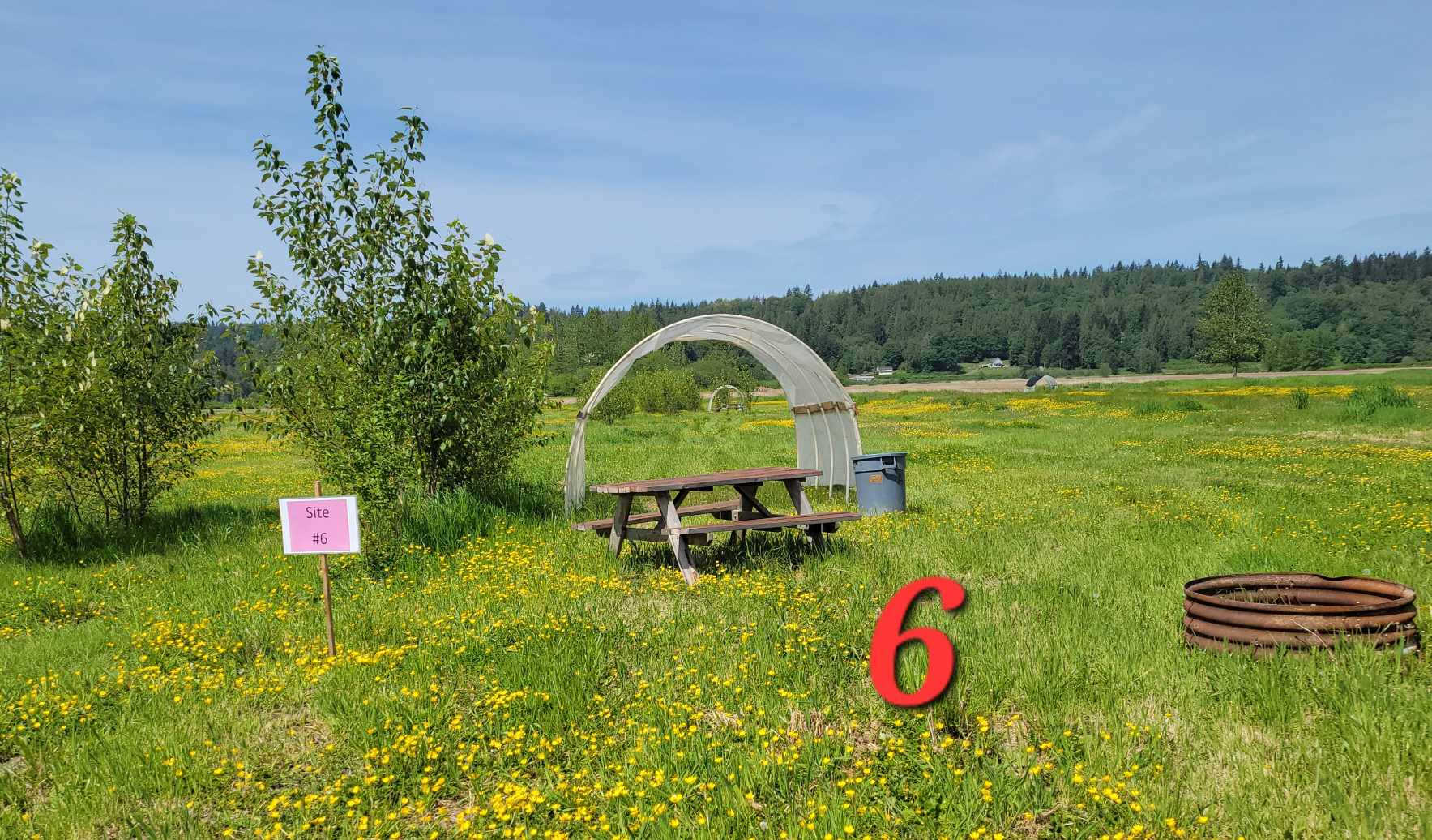 Picture of the site