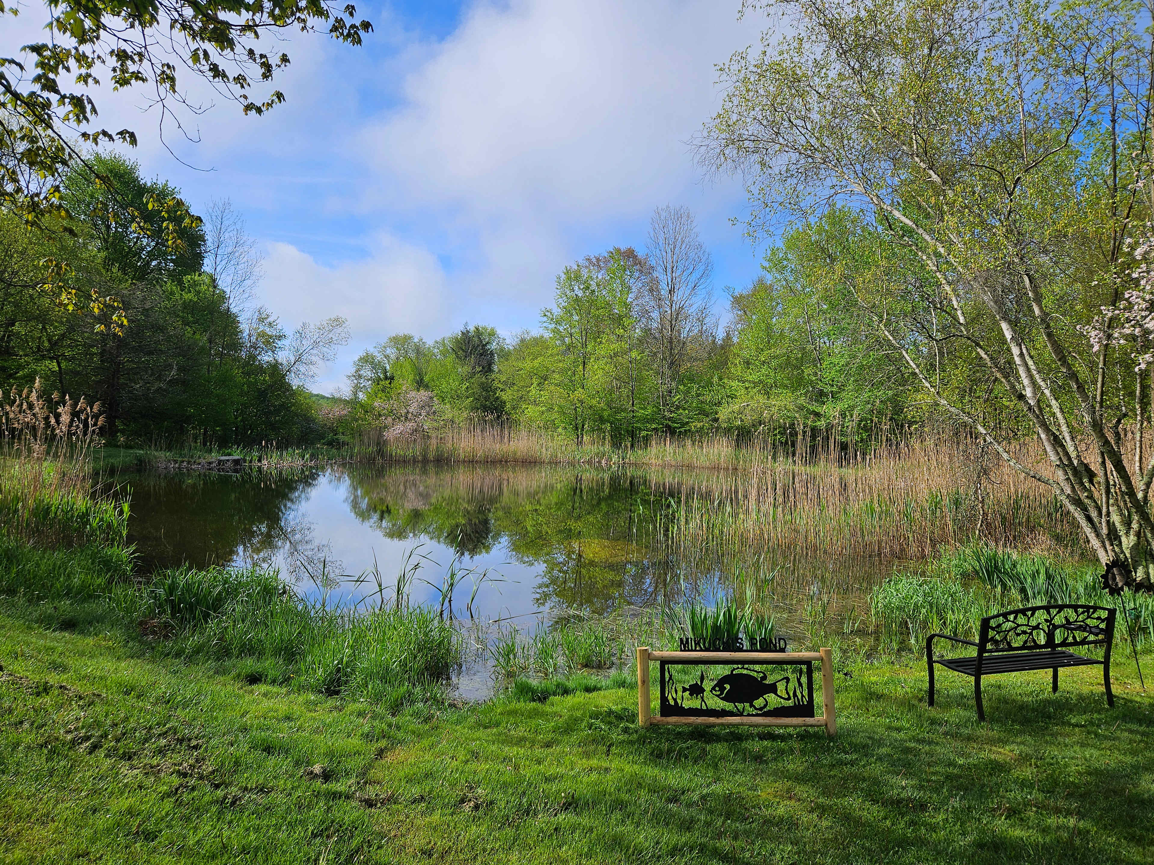 Relaxing Pondside Campsite