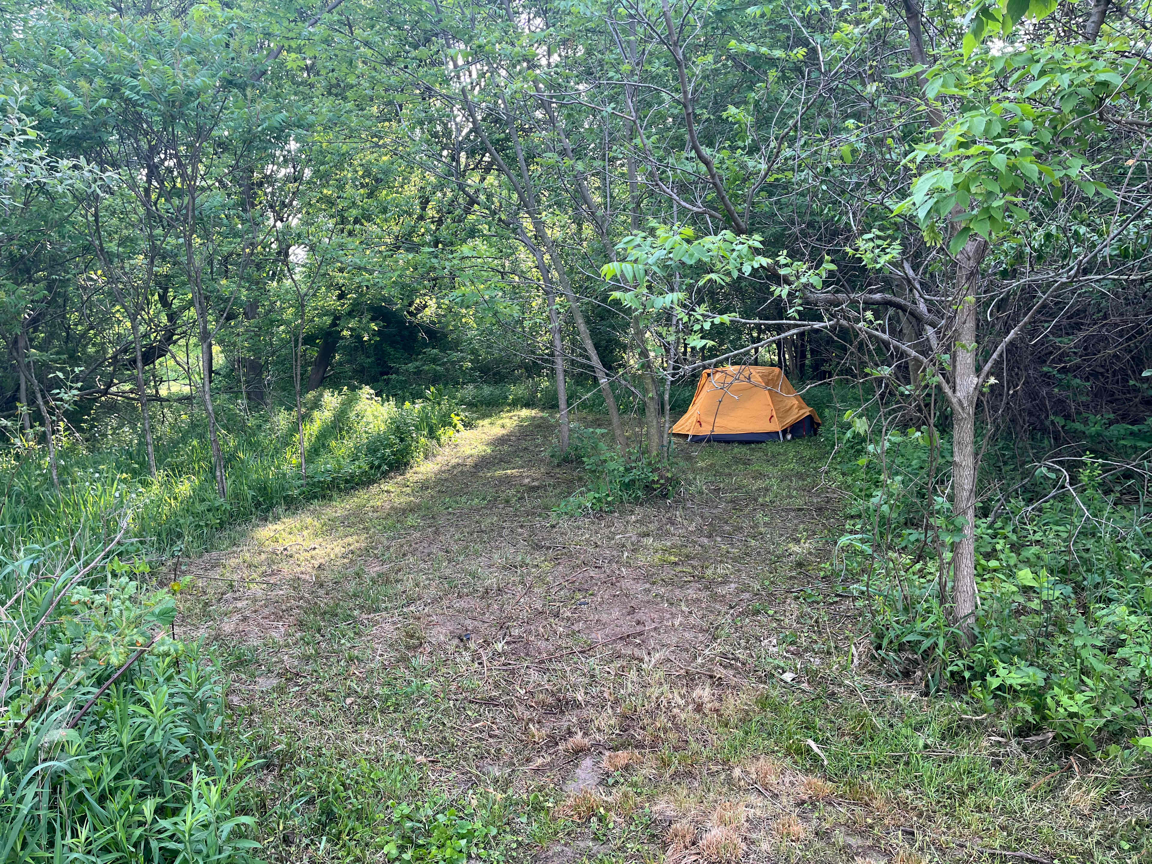 Picture of the site