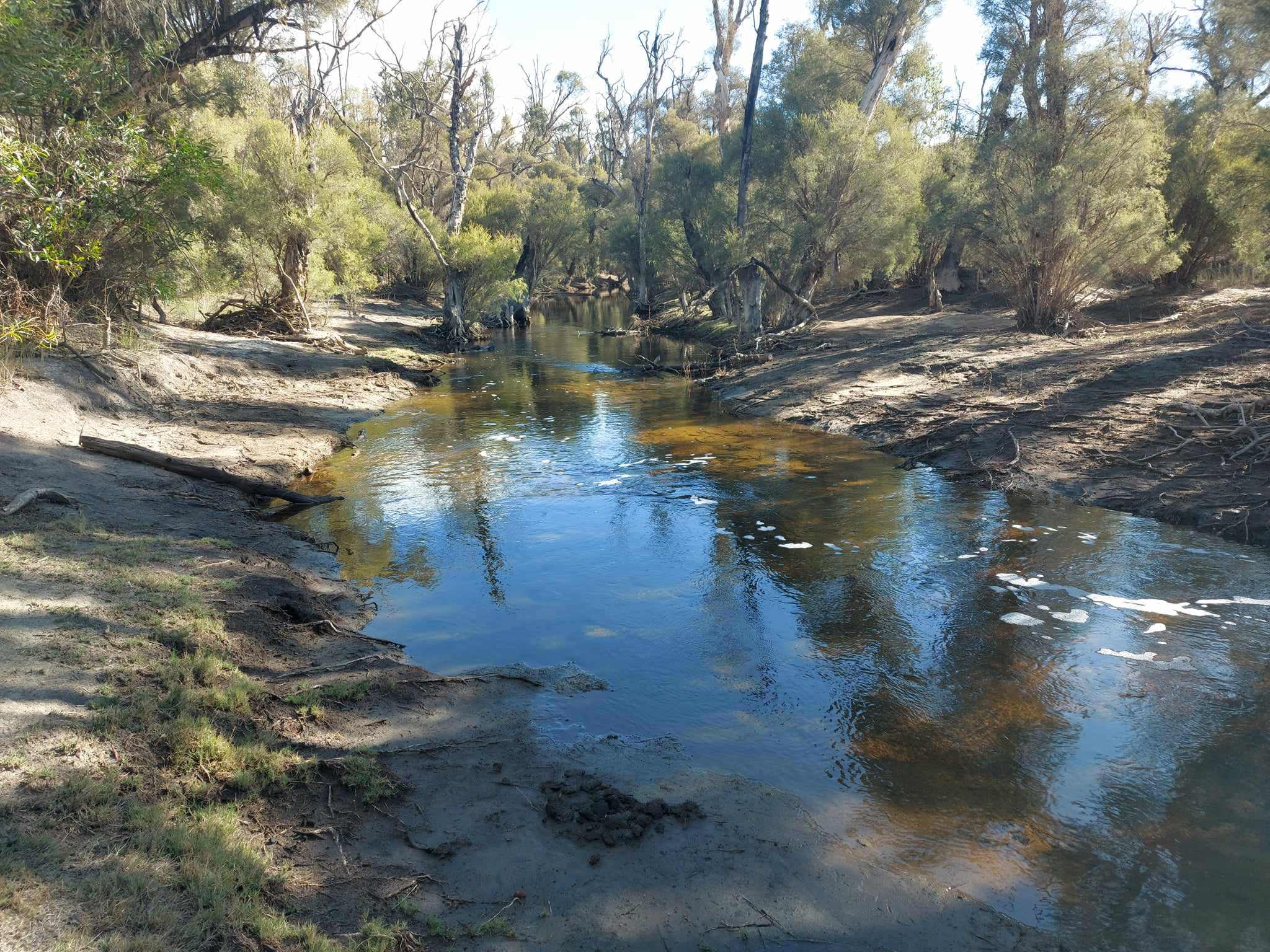 Murray Valley Camping