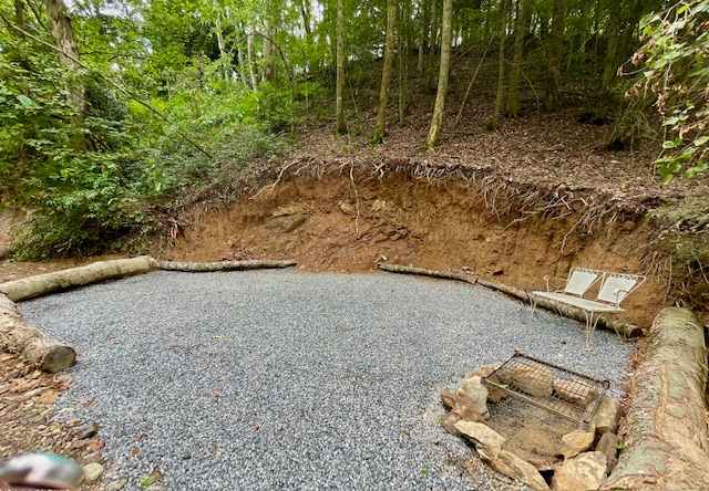 Picture of the site