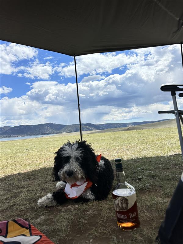 Camp Lake View