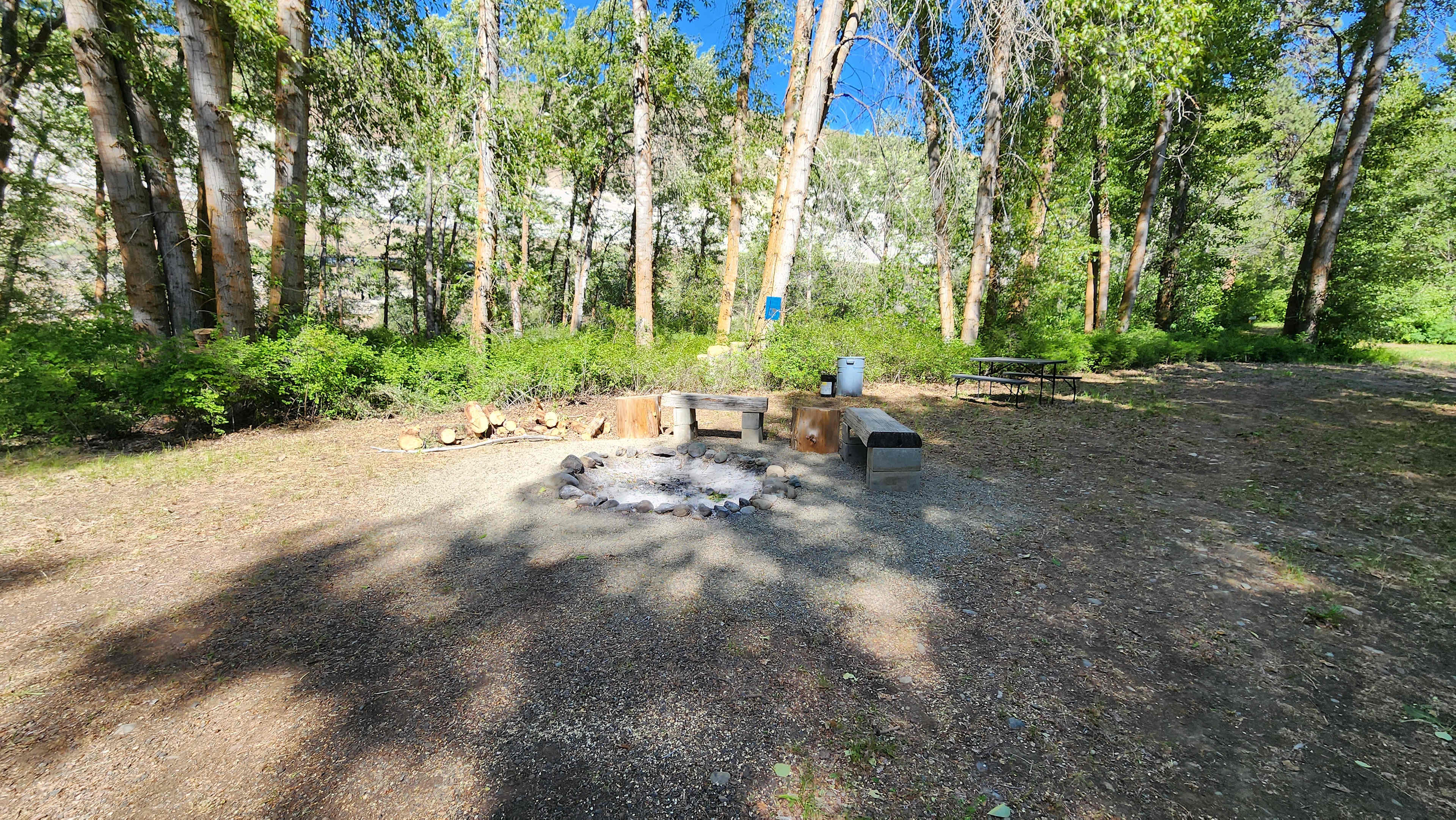Picture of the site