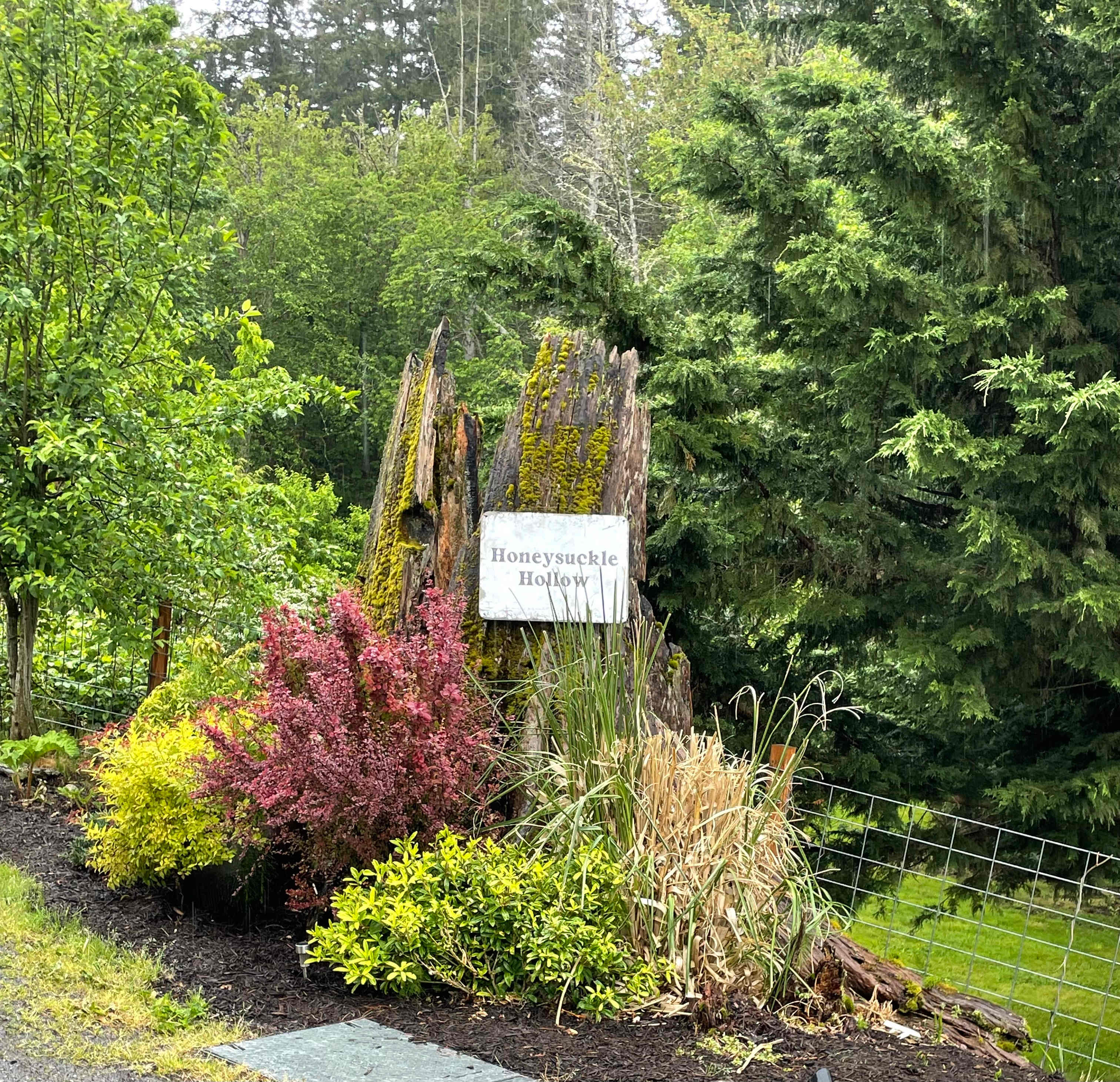 Honeysuckle Hollow